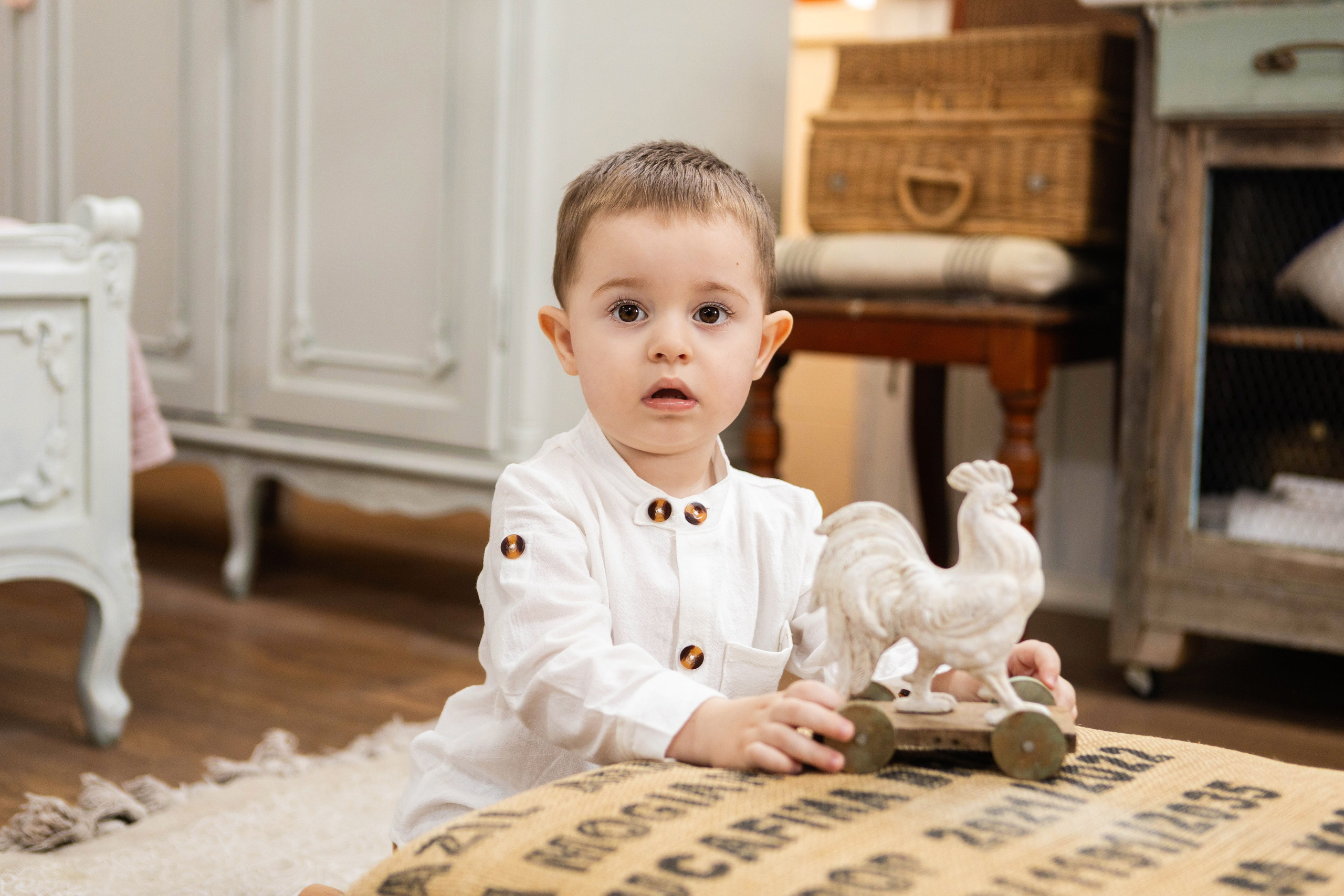 Фотосессия со щенками кавалер кинг чарльз спаниэль. Свадебный семейный и детский фотограф в Краснодаре Карина Федоровская