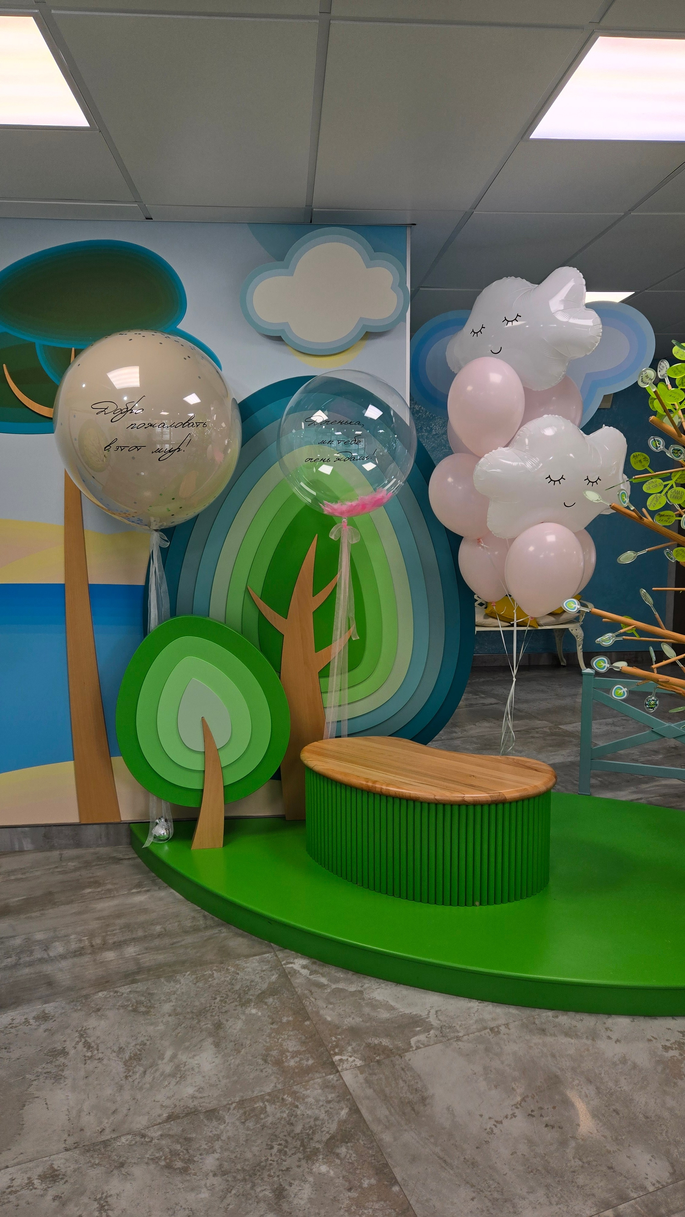 Фотограф в роддоме Сестрорецком г. Санкт-Петербург Банасиковская Ксения