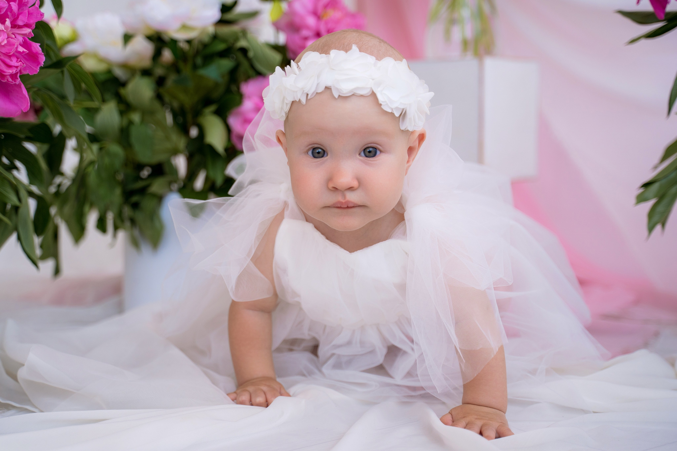 Пионы. Фотостудия Малина в городе Улан-Удэ. Фотограф Ирина Жарникова