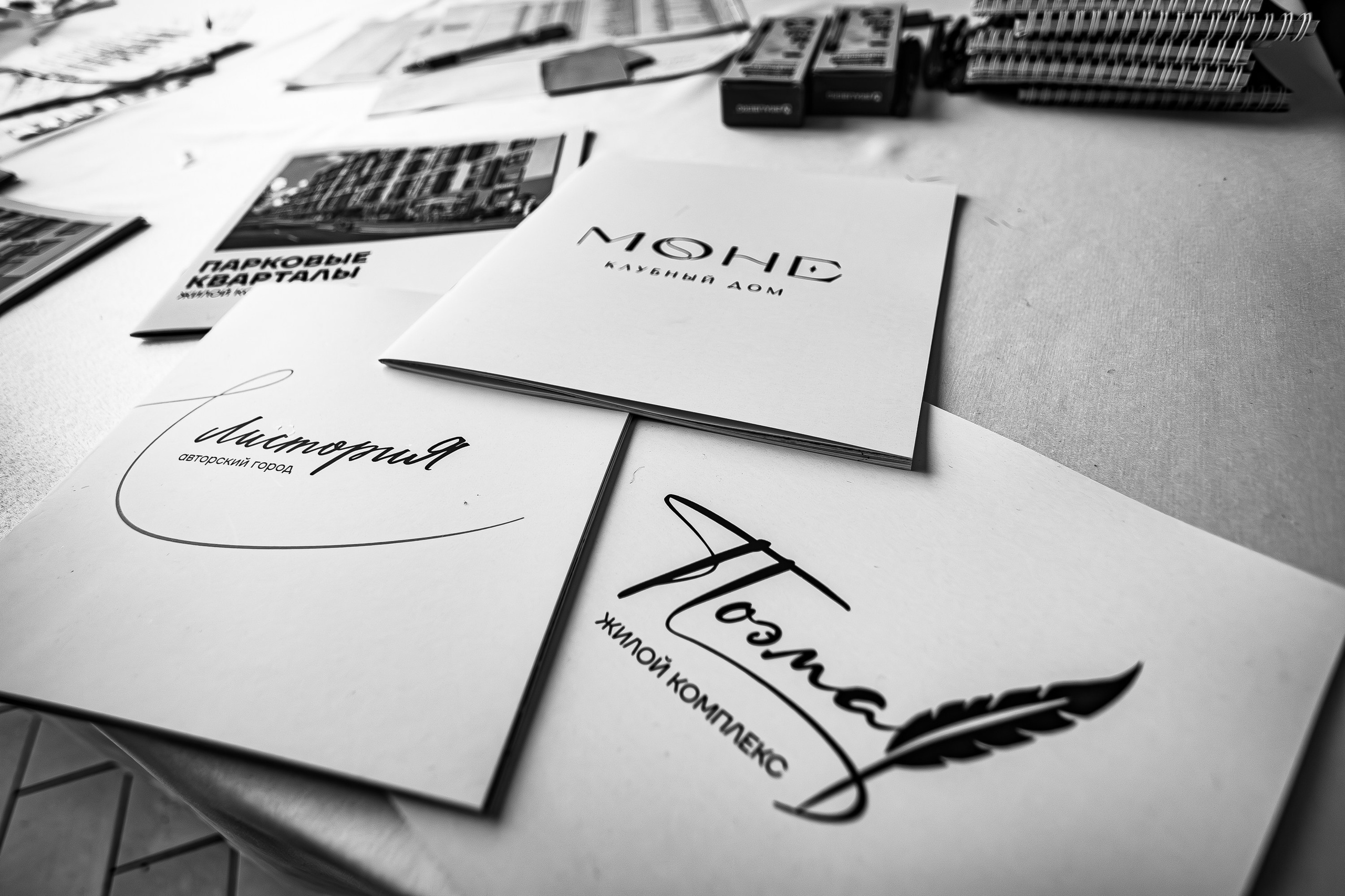 Беременный форум «Мир материнства»_Рыбацкая деревня_Симферополь_6.12.2024. Аминов Руслан | Фотограф