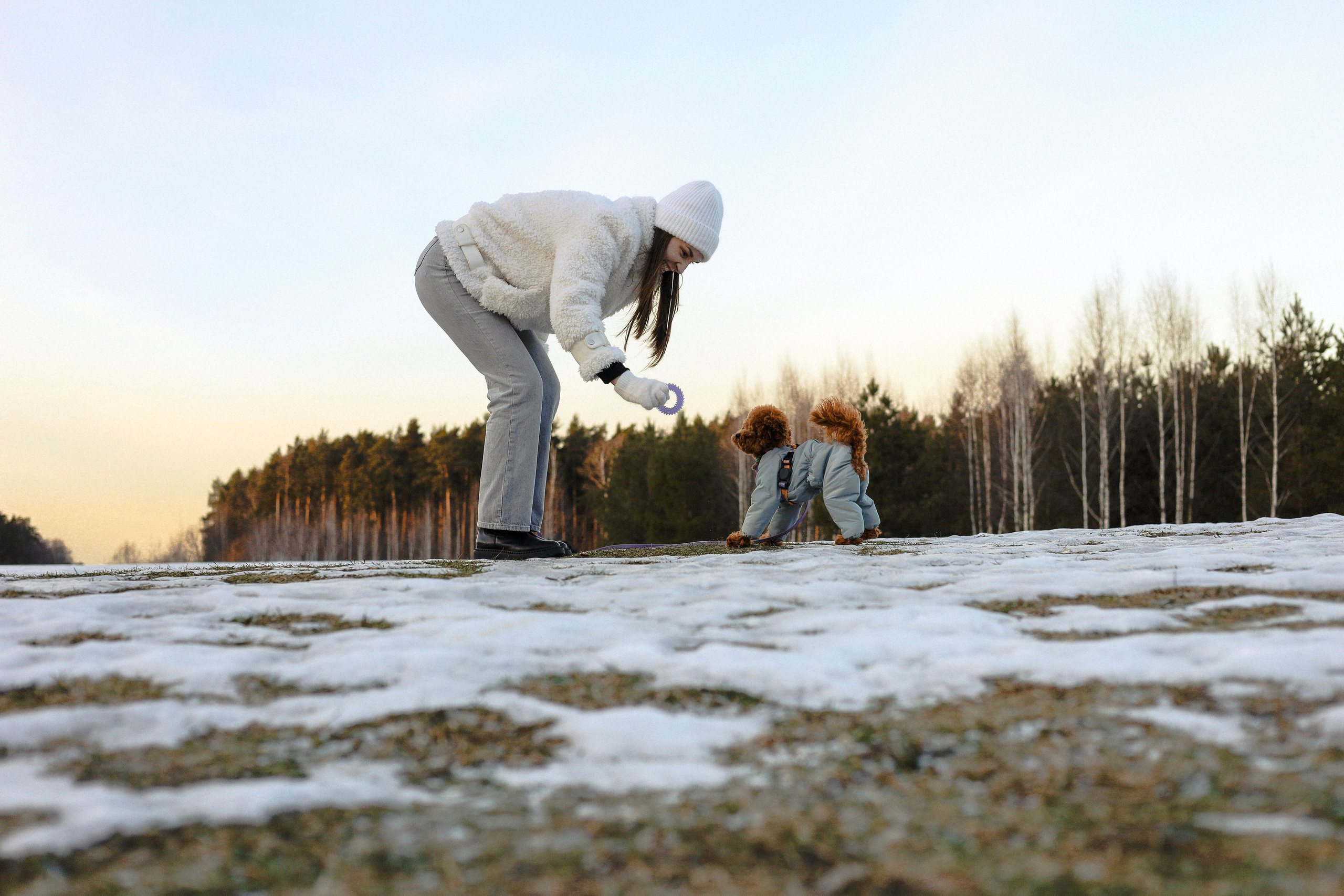 Филипп и Настя. Фотограф-анималист Ксения Шевцова|Москва