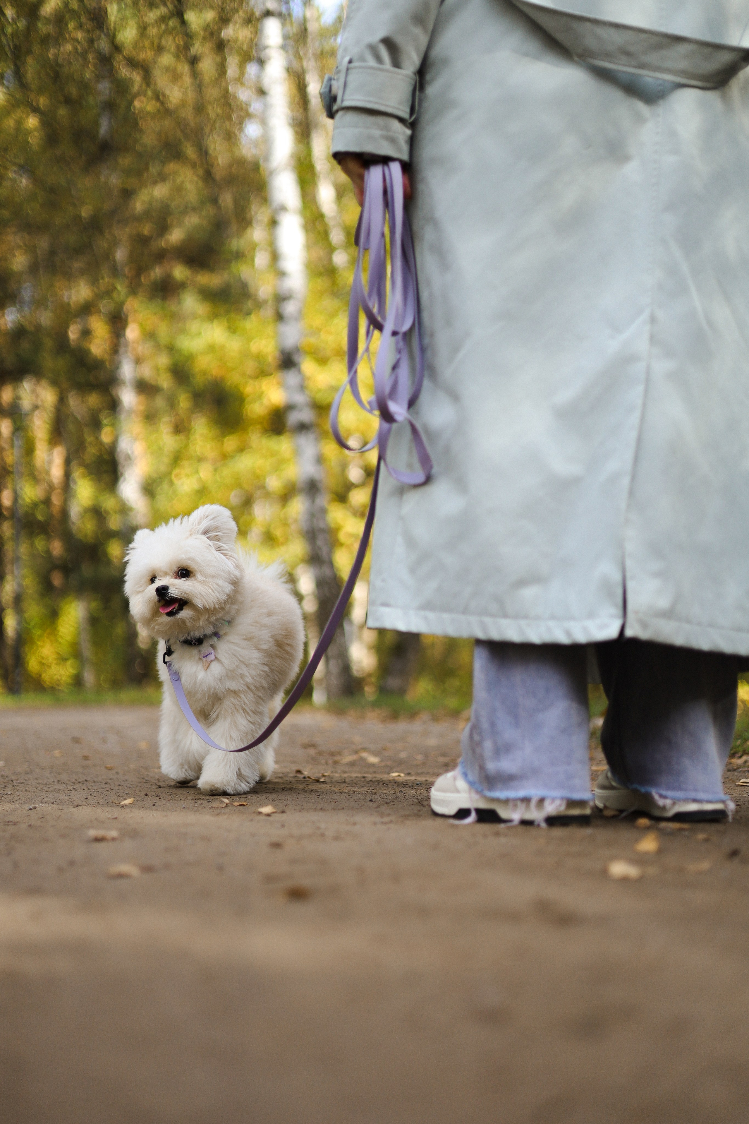 Купер и Надежда. Фотограф-анималист Ксения Шевцова|Москва