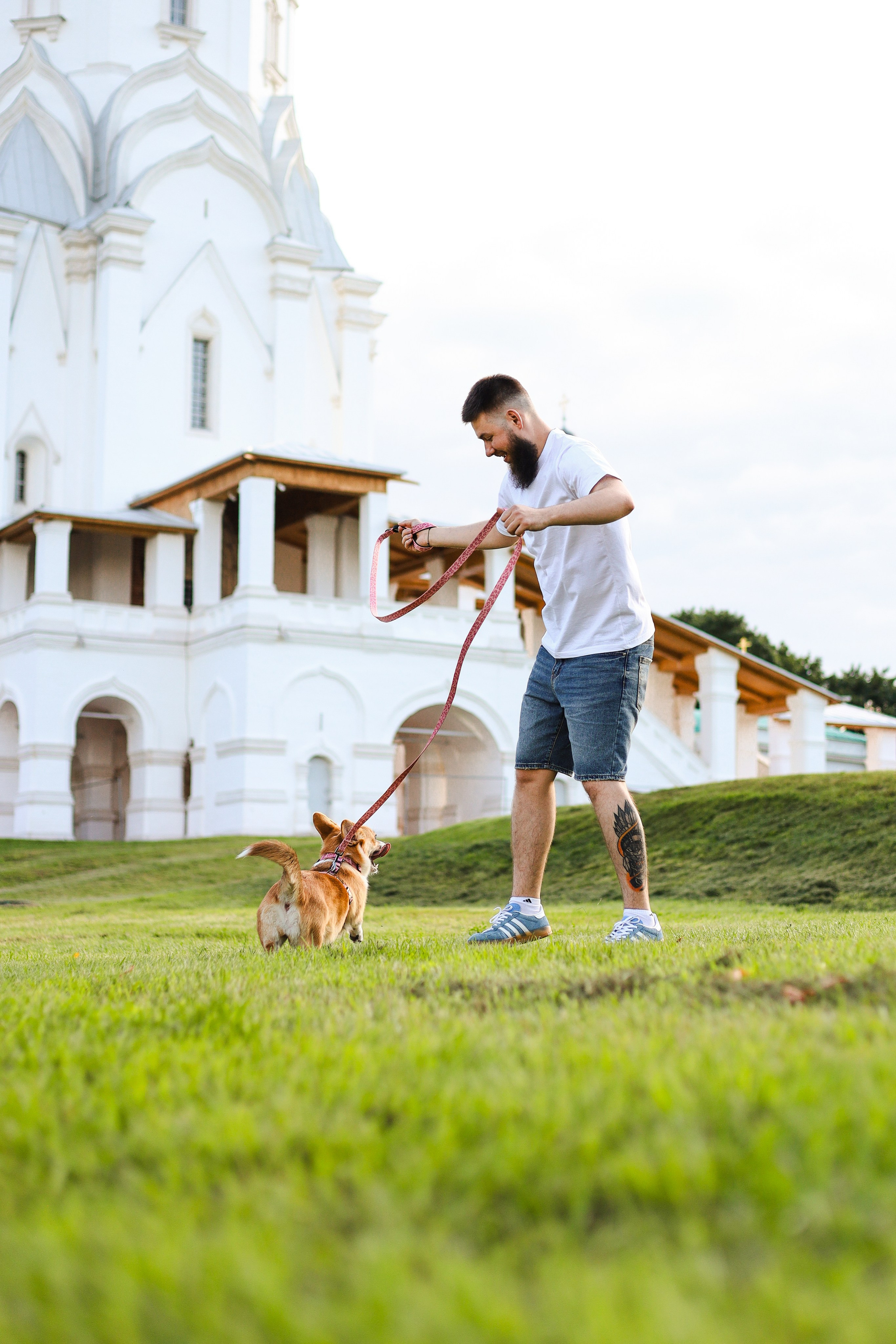 Эмили, Аня и Лёша. Фотограф-анималист Ксения Шевцова|Москва