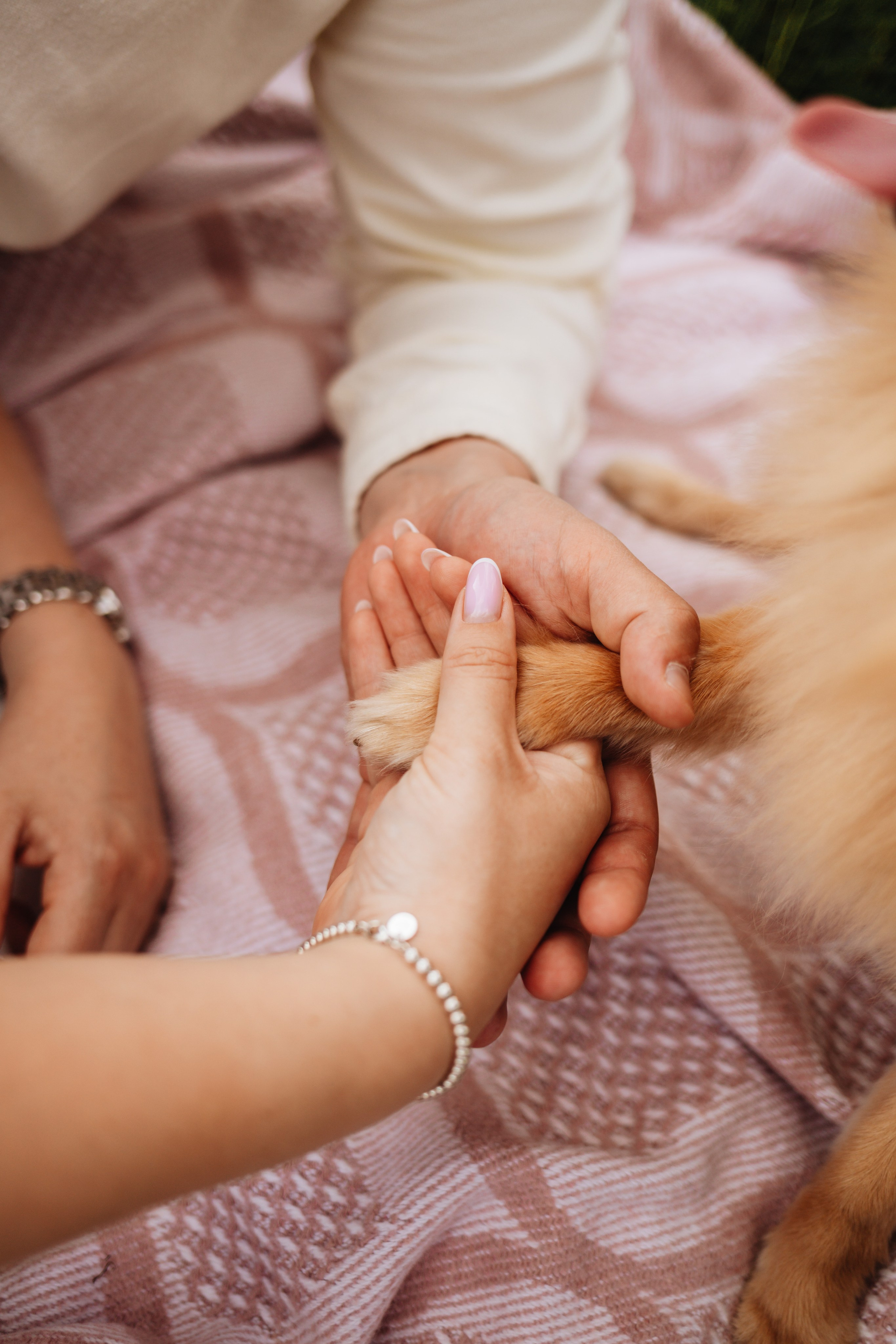 Вова и Марина, в ожидании. Семейный фотограф Юлия Клишина