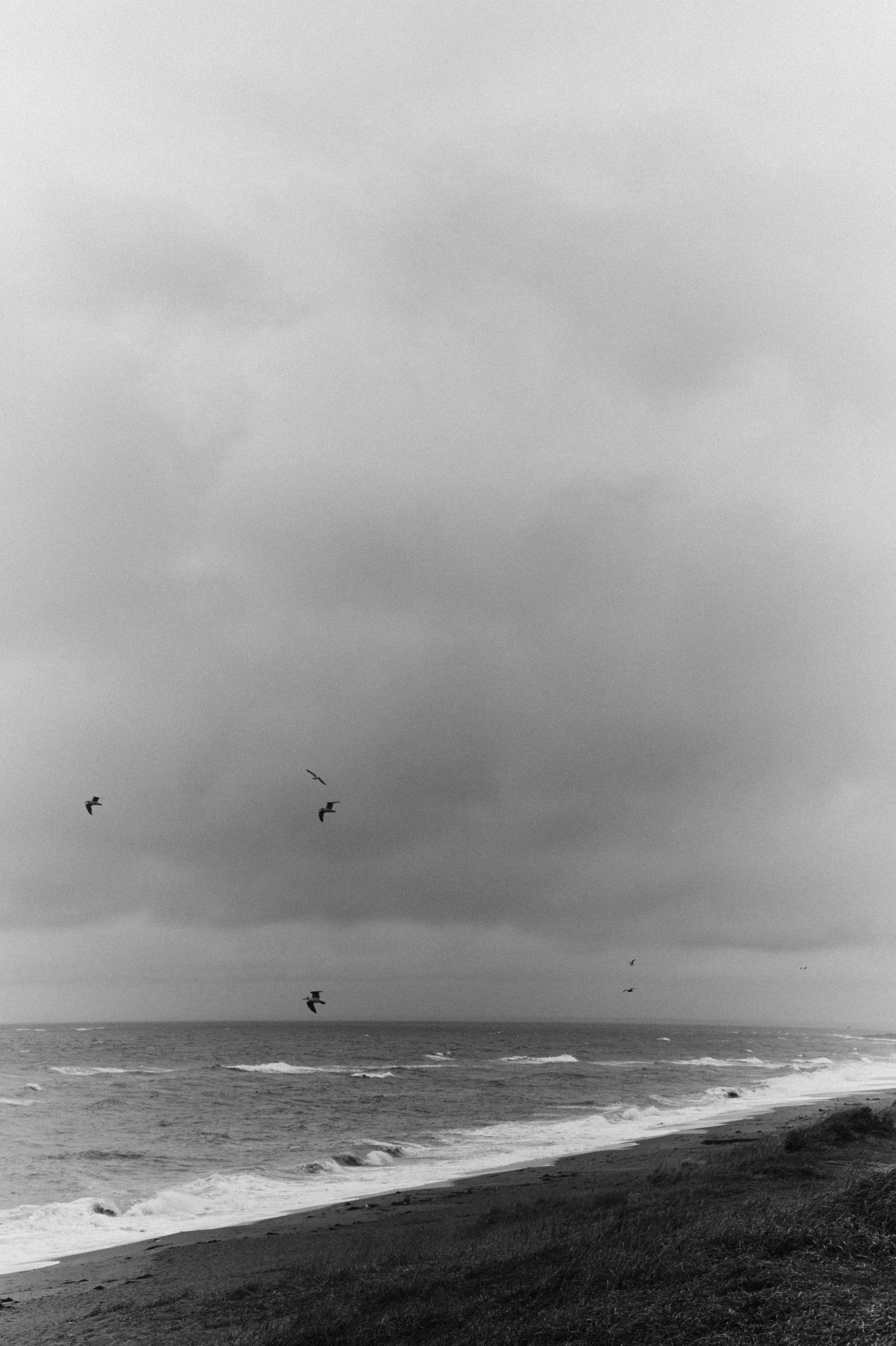 BAON x SAKHALIN. Фотограф Сурков Никита