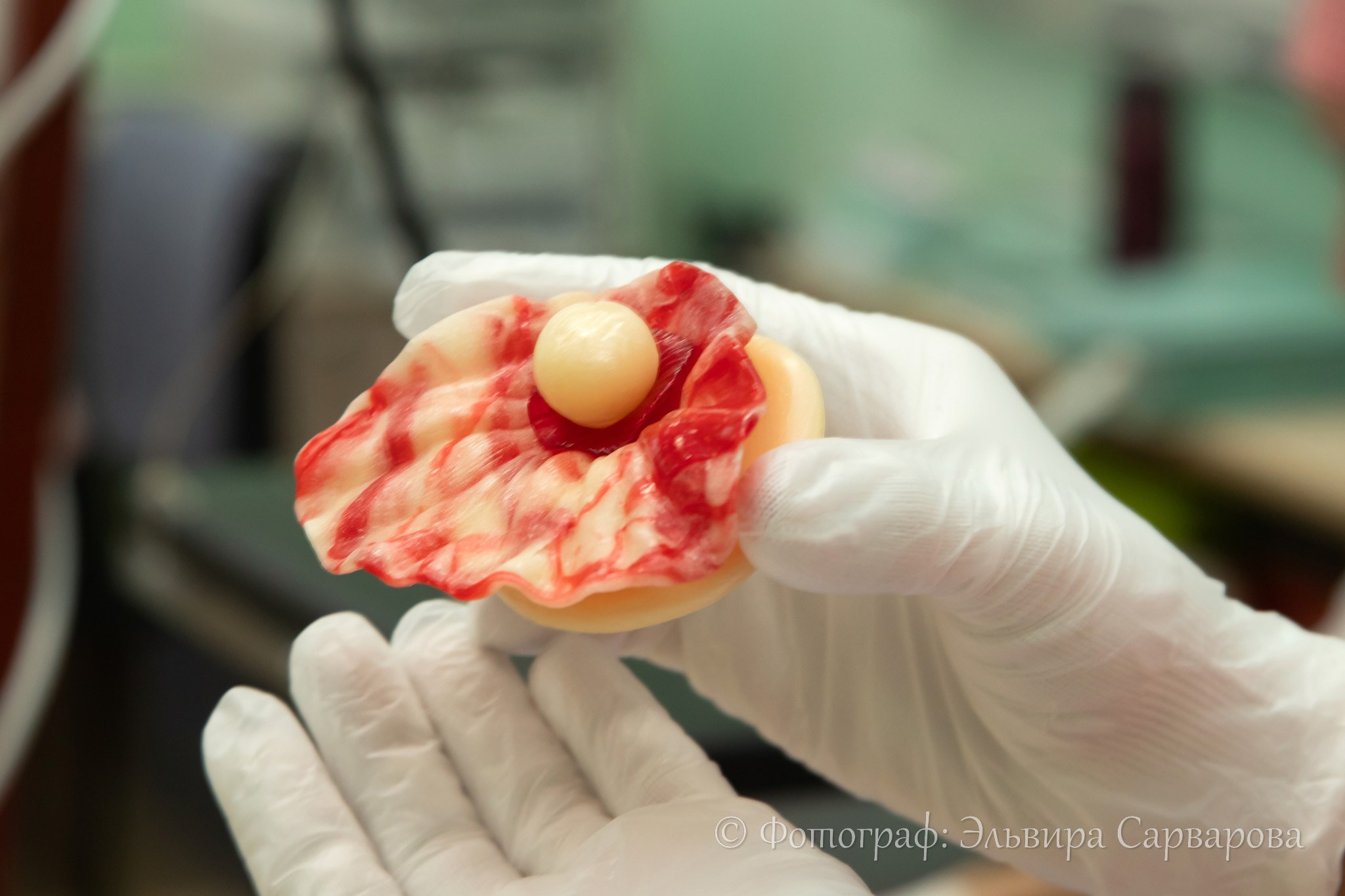 Мастер-класс по леденцам. Репортажный Фотограф