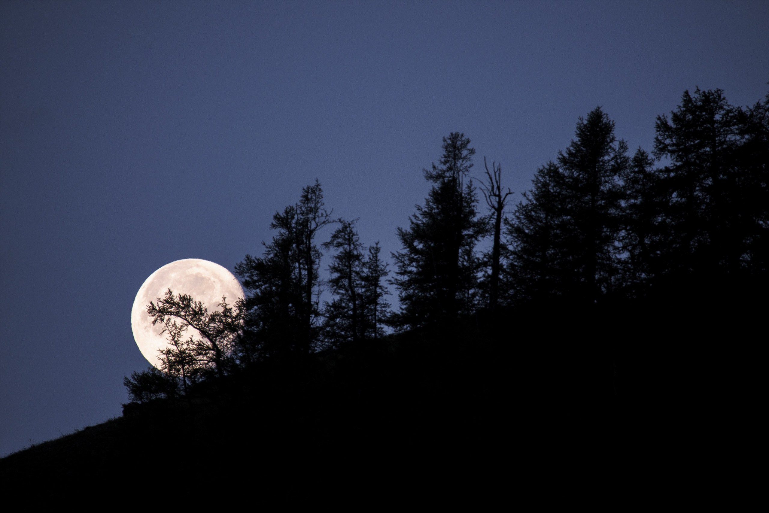 Тува. Фотограф в Красноярске Нерозя Александр. Пейзаж, природа, портрет