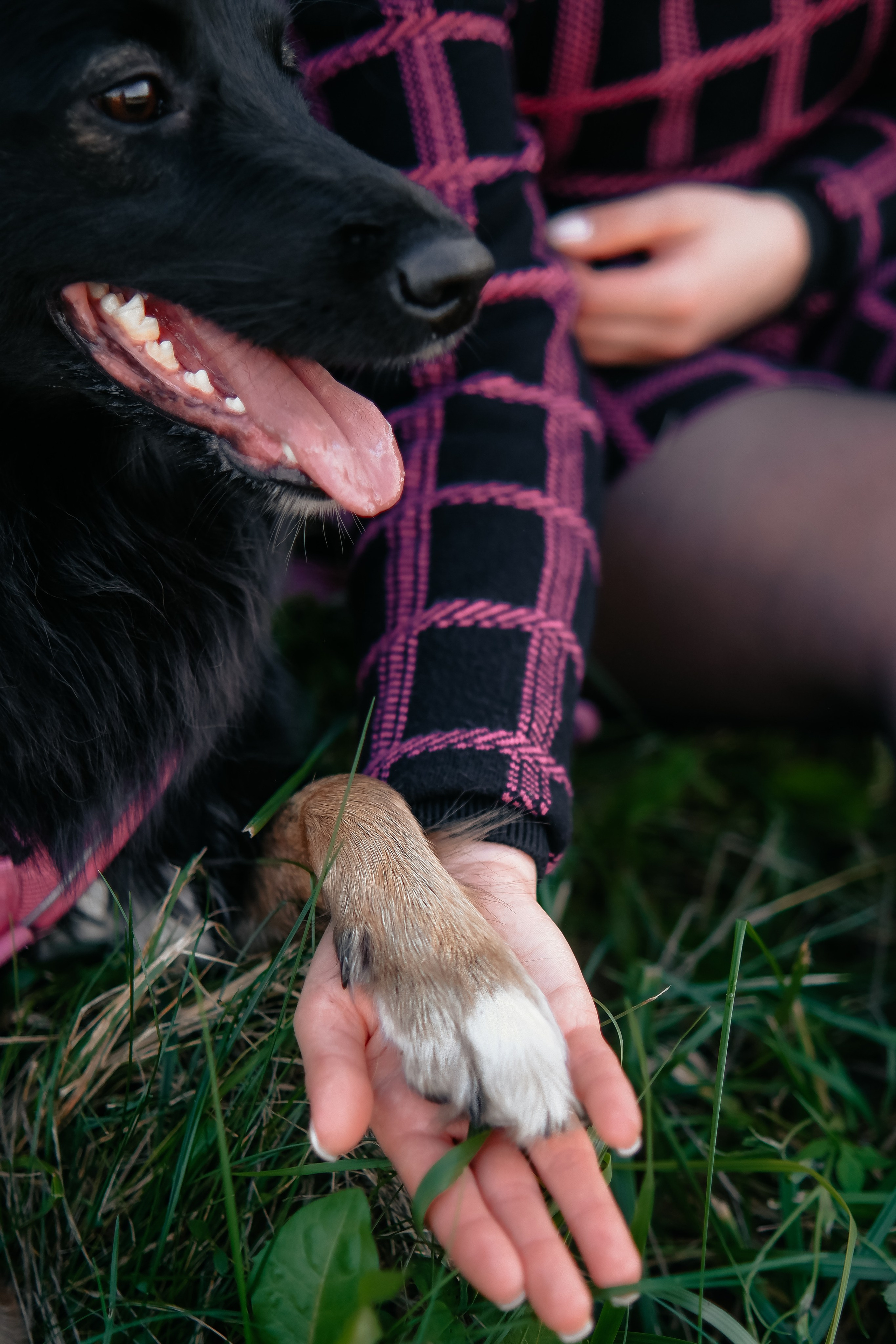 Наташа и Юня. Лена Фокина | Фотограф Смоленск