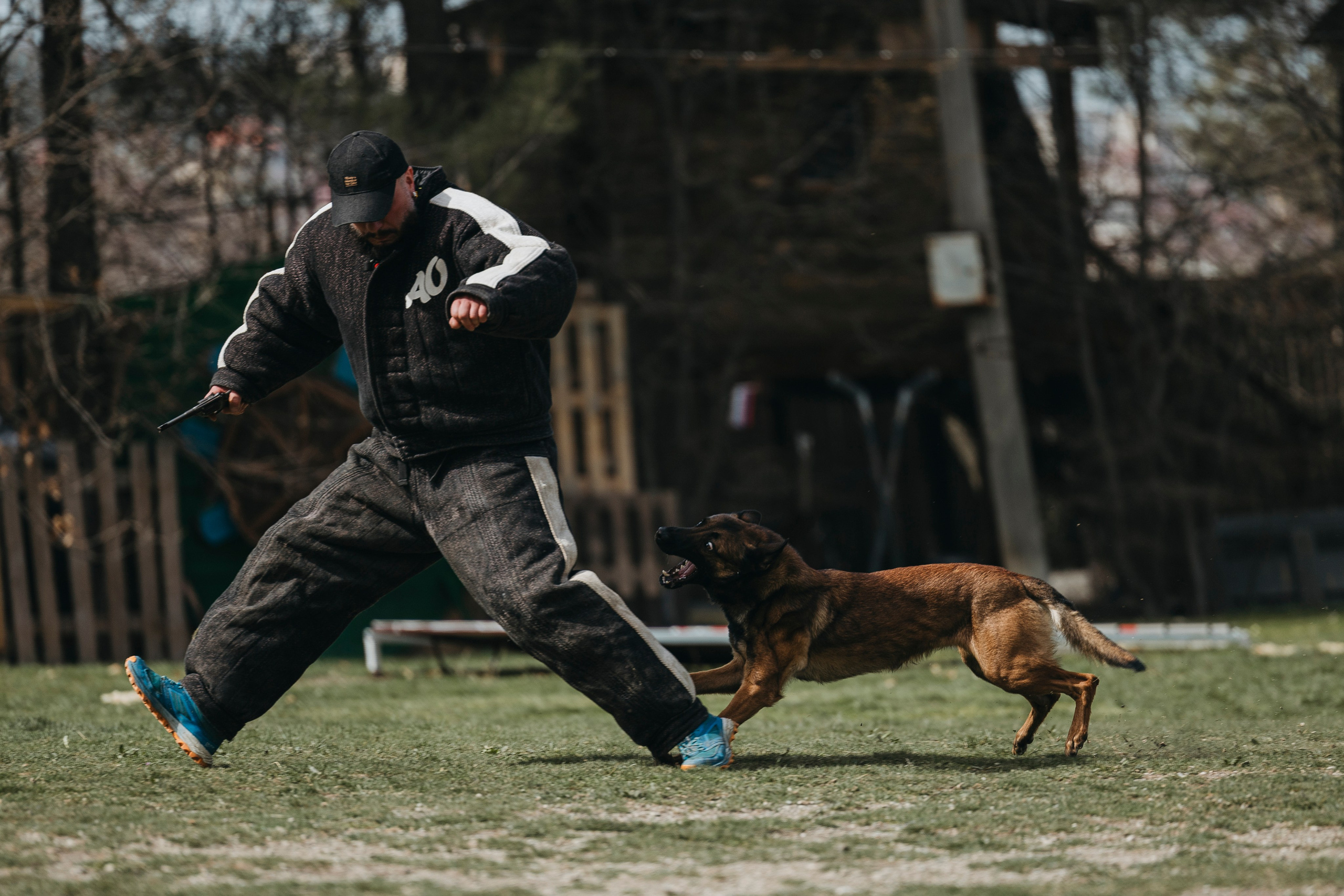 Геленджик Мондьоринг. Фотограф-анималист Анна Маринич