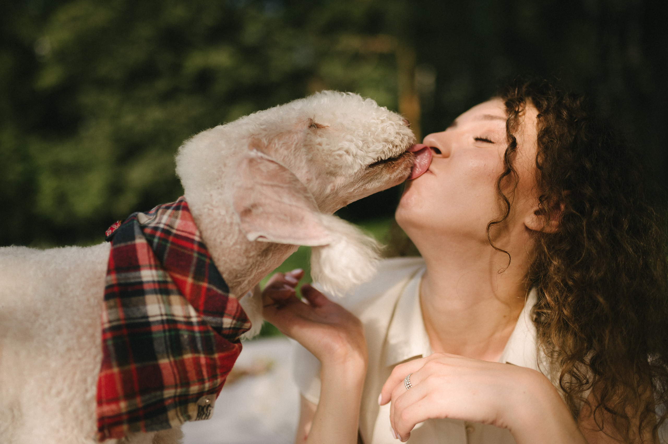 Лиза и Каспер. Фотограф анималист в Москве Ольга Агушева