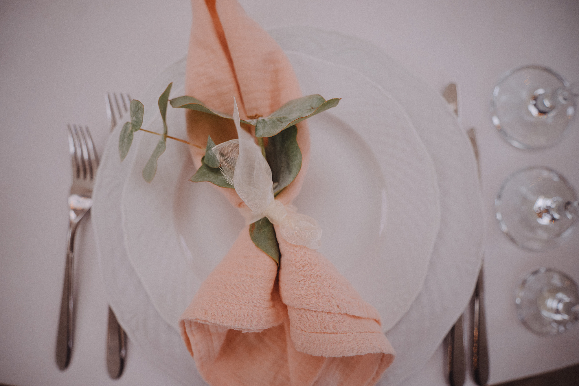 Артем и Надежда. Организация и координация свадебных и семейных торжеств