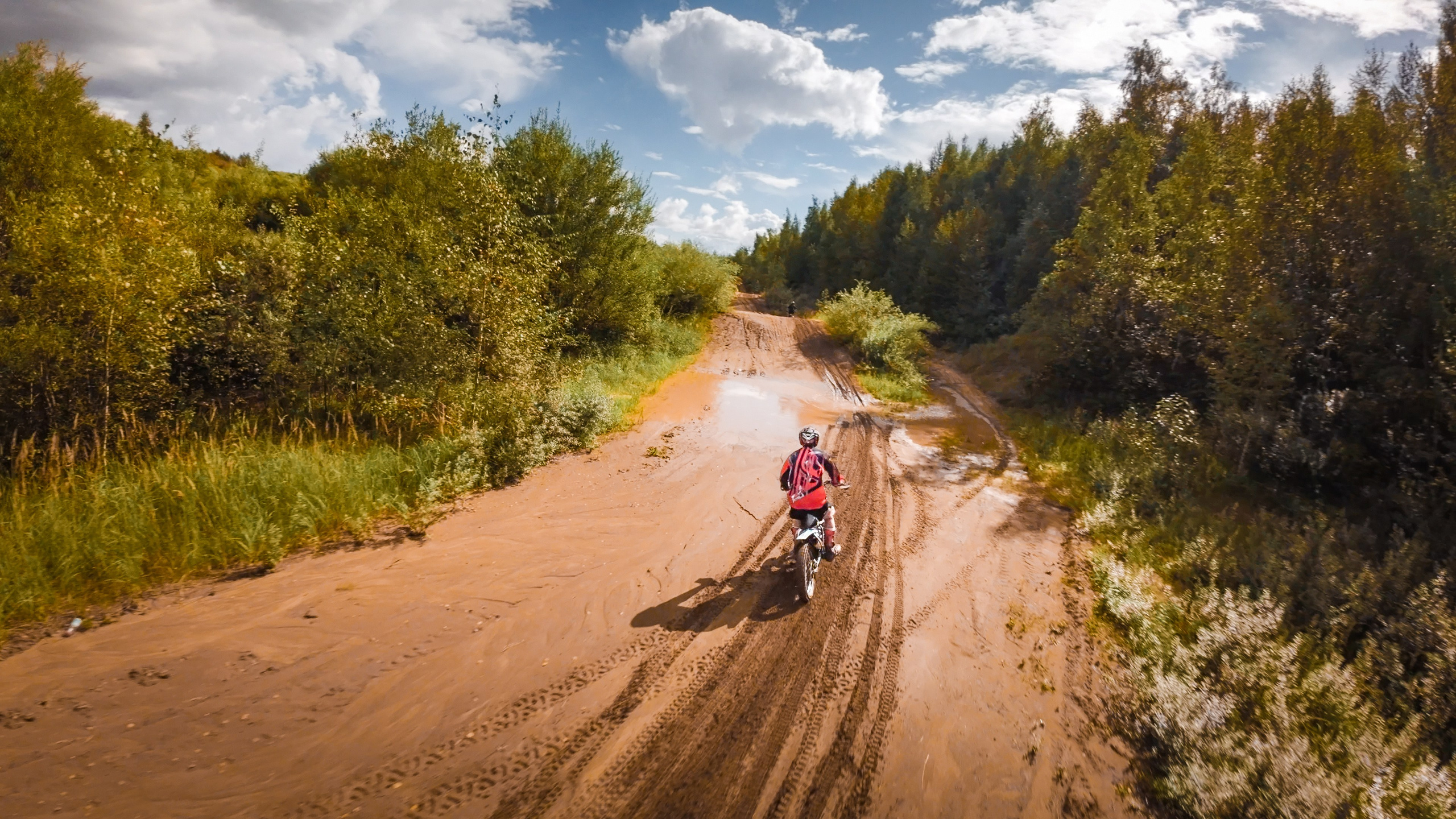 мужчина на кроссовом мотоцикле в лесу, эндуро, лес, трава, песок, лето, солнце