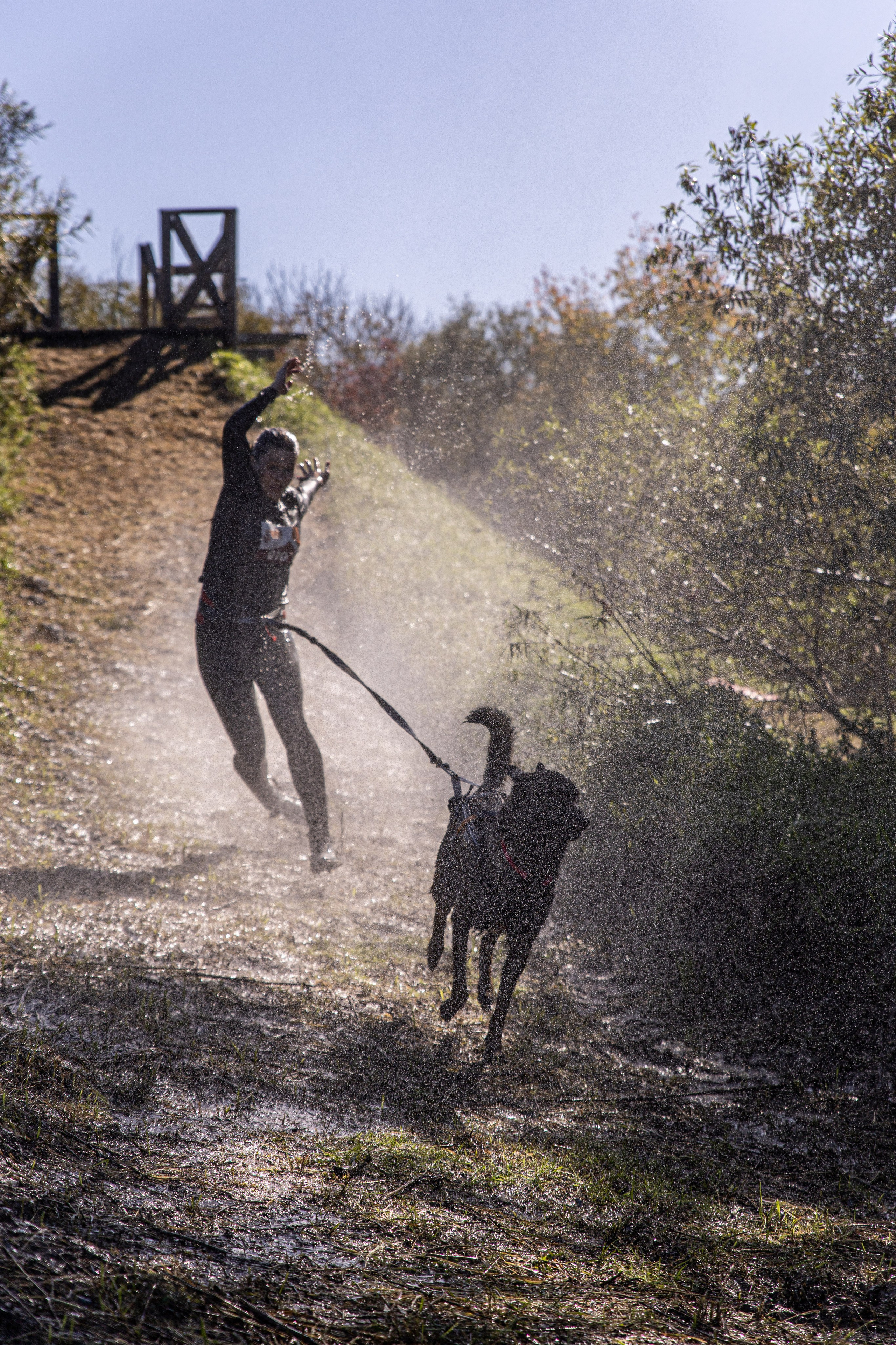 Dogtrail 2023. Уссурийск