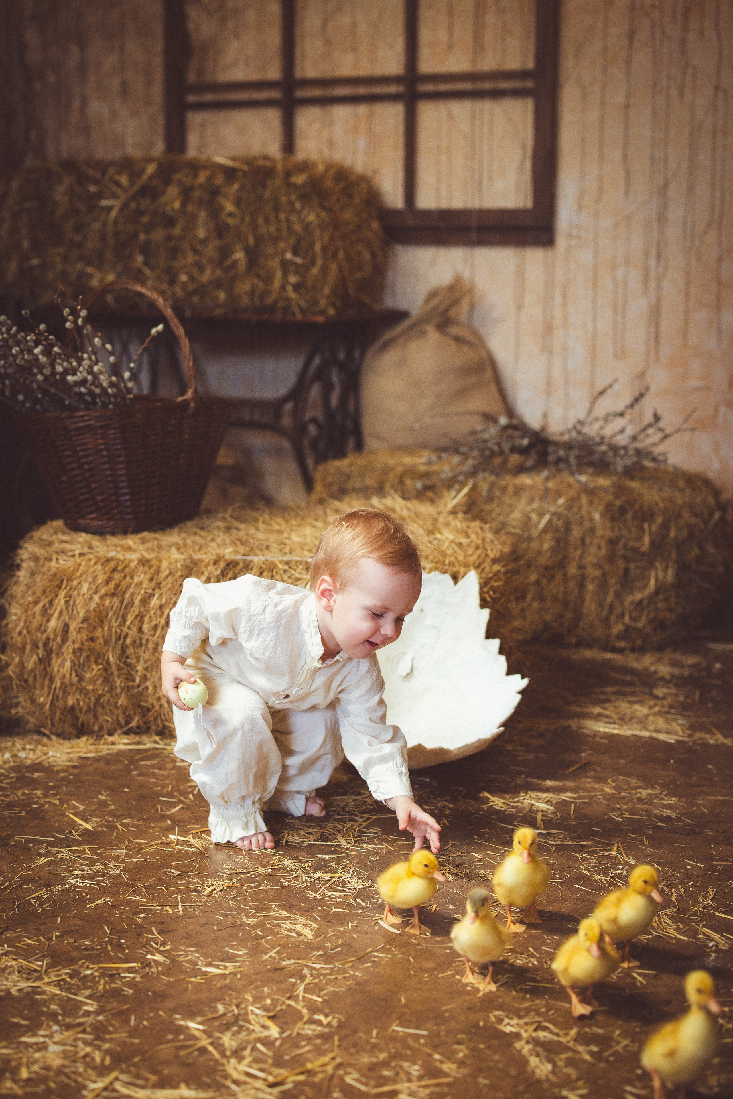 Пасхальный фотопроект с козочкой и утятами, в фотостудии «Эль» 2024 г. Семейный и детский фотограф в Краснодаре Анна Трашкова