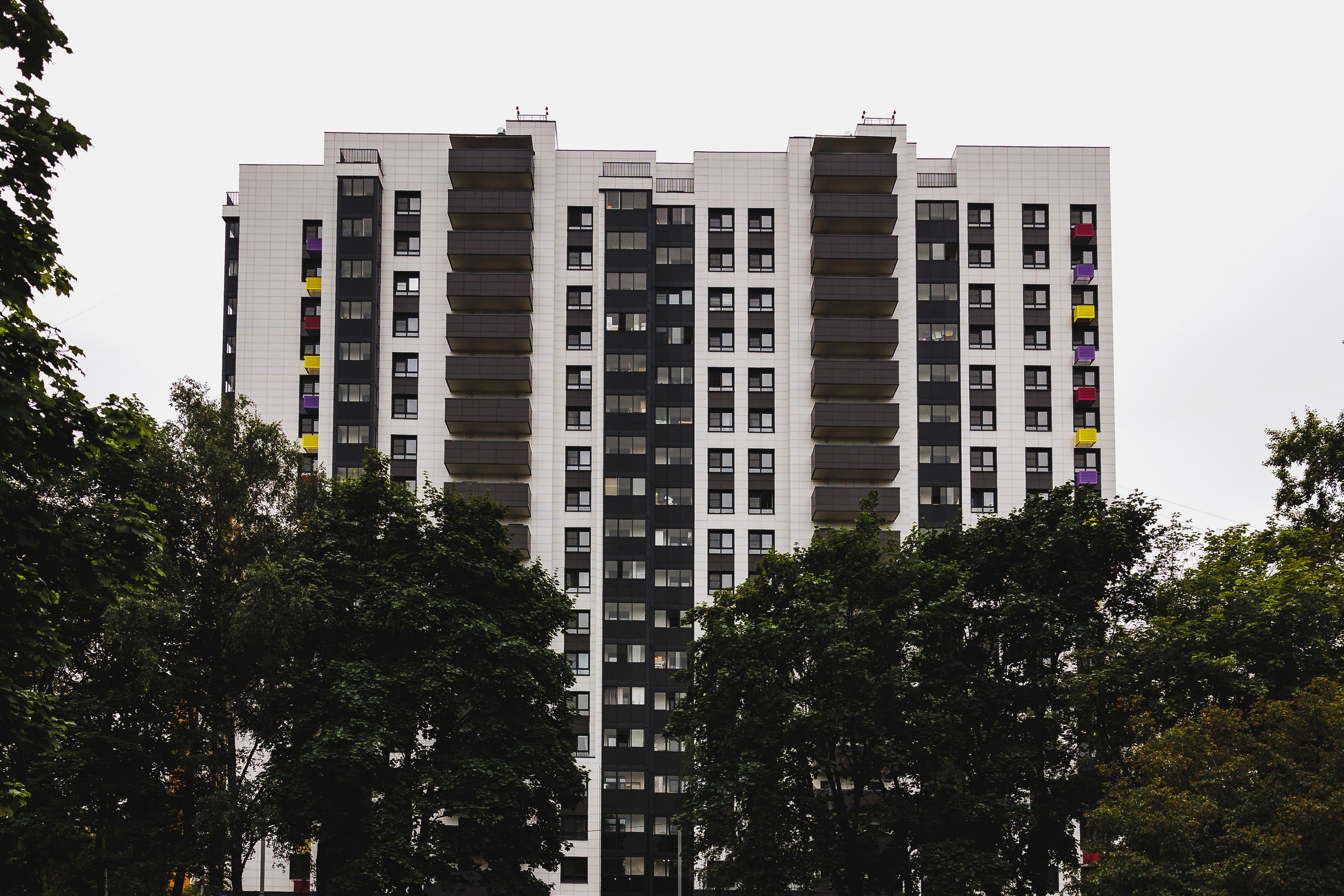 РЕНОВАЦИЯ — МОЛОДЦОВА 25. АЛТ Портфолио