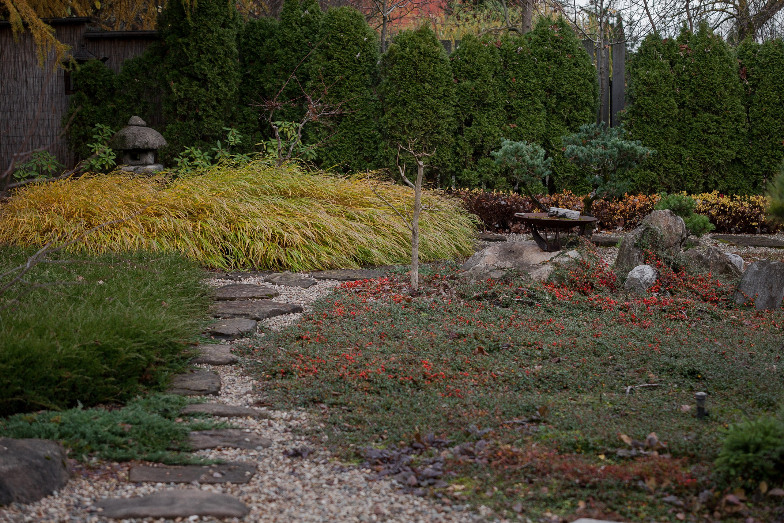 Личный сад Елены Асташкиной (осень). Фотограф Виталий Туманов. Туманов Виталий — фотограф Москва
