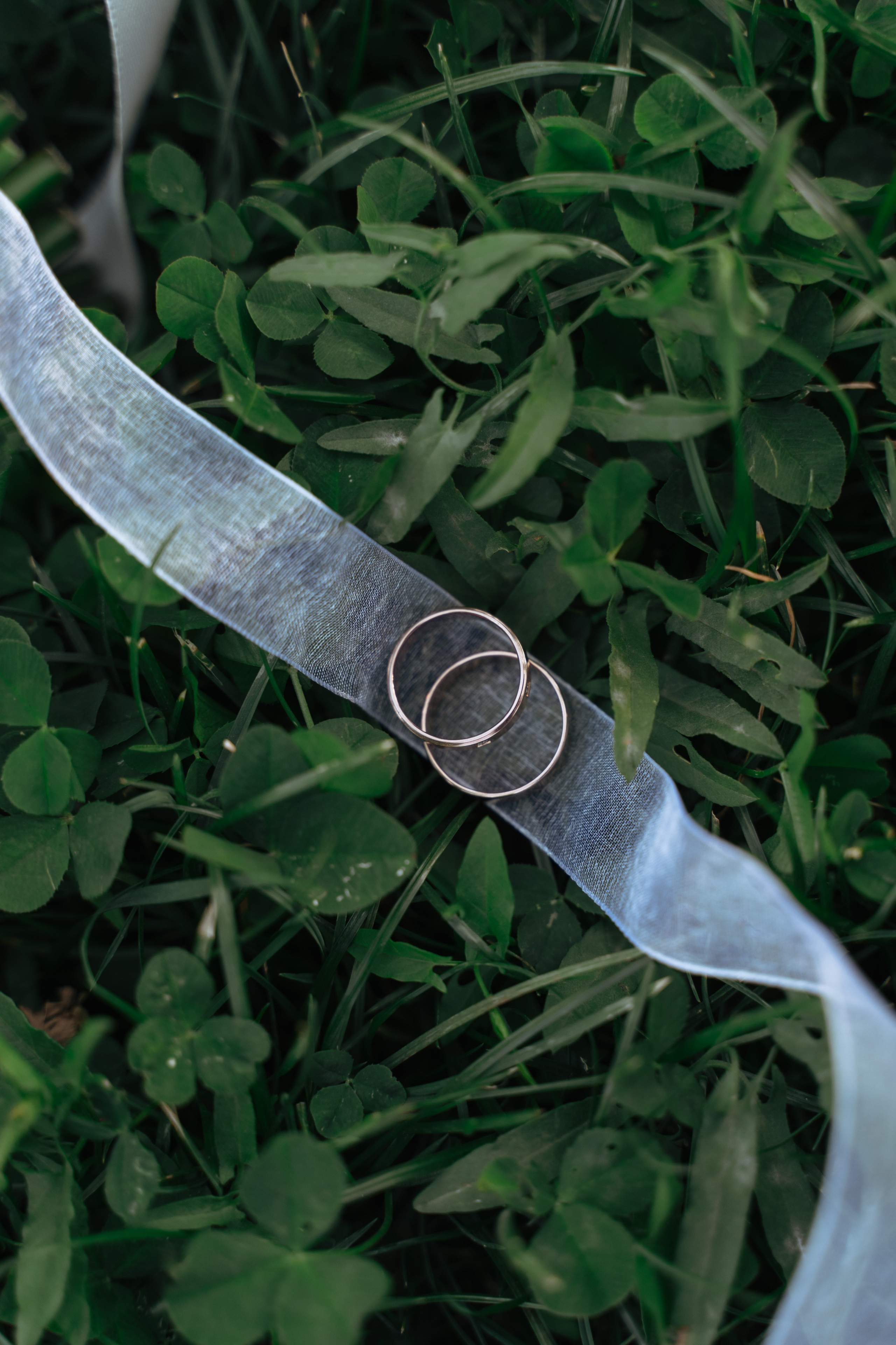 Мария и Артём. Семейный фотограф Новочеркасск