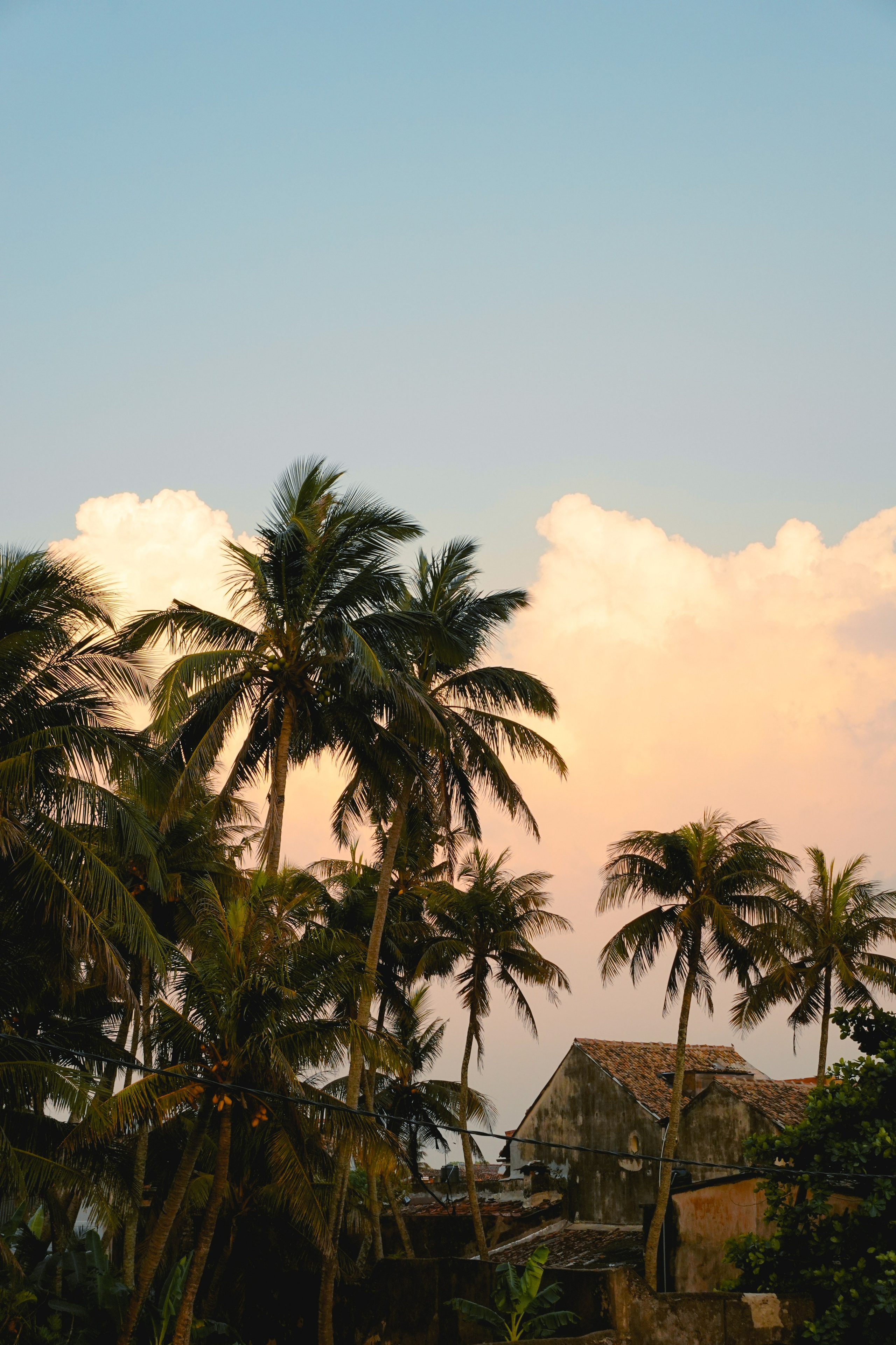 Шри-Ланка. Фотограф Алиса Аспер