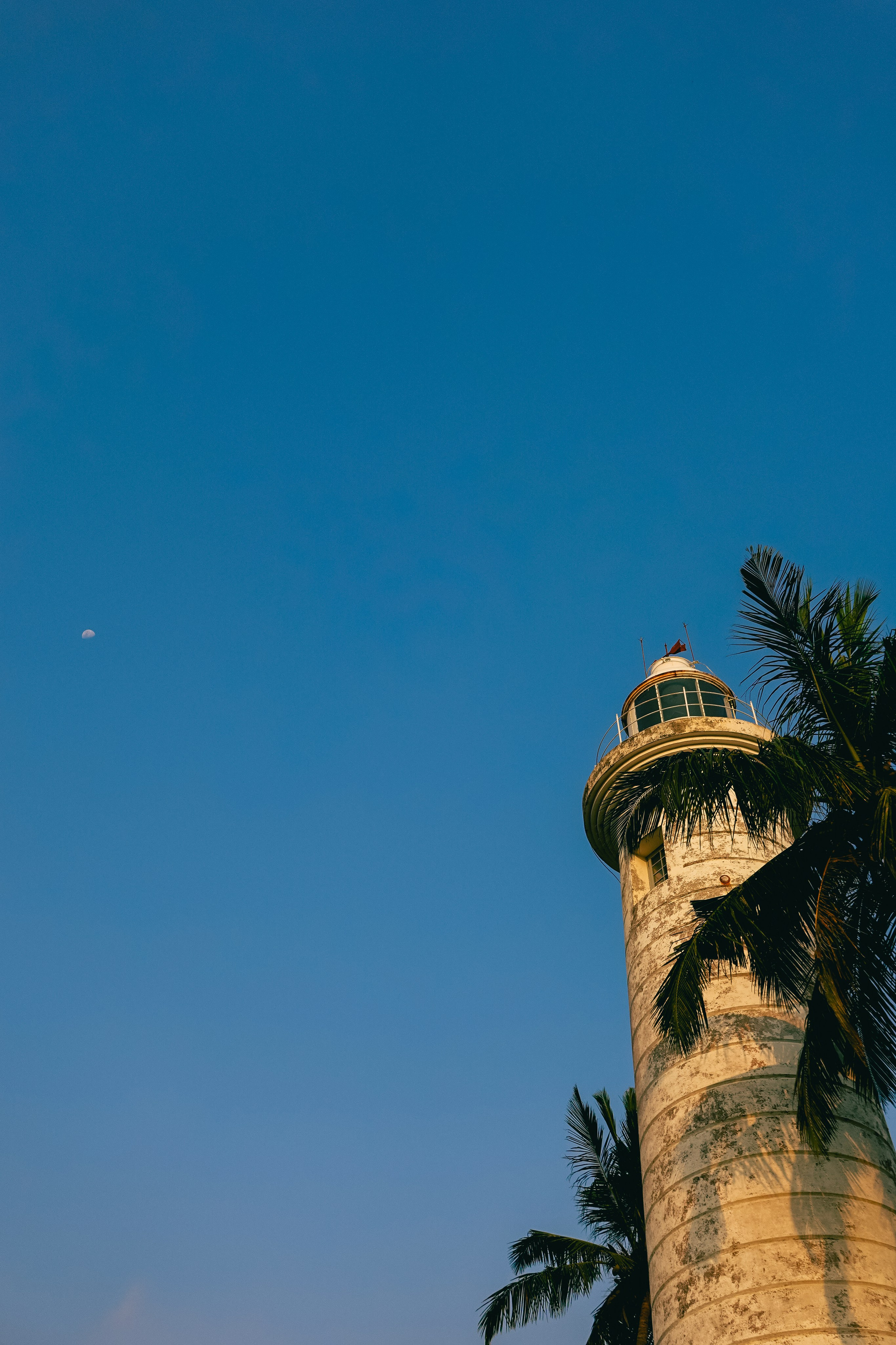 Шри-Ланка. Фотограф Алиса Аспер