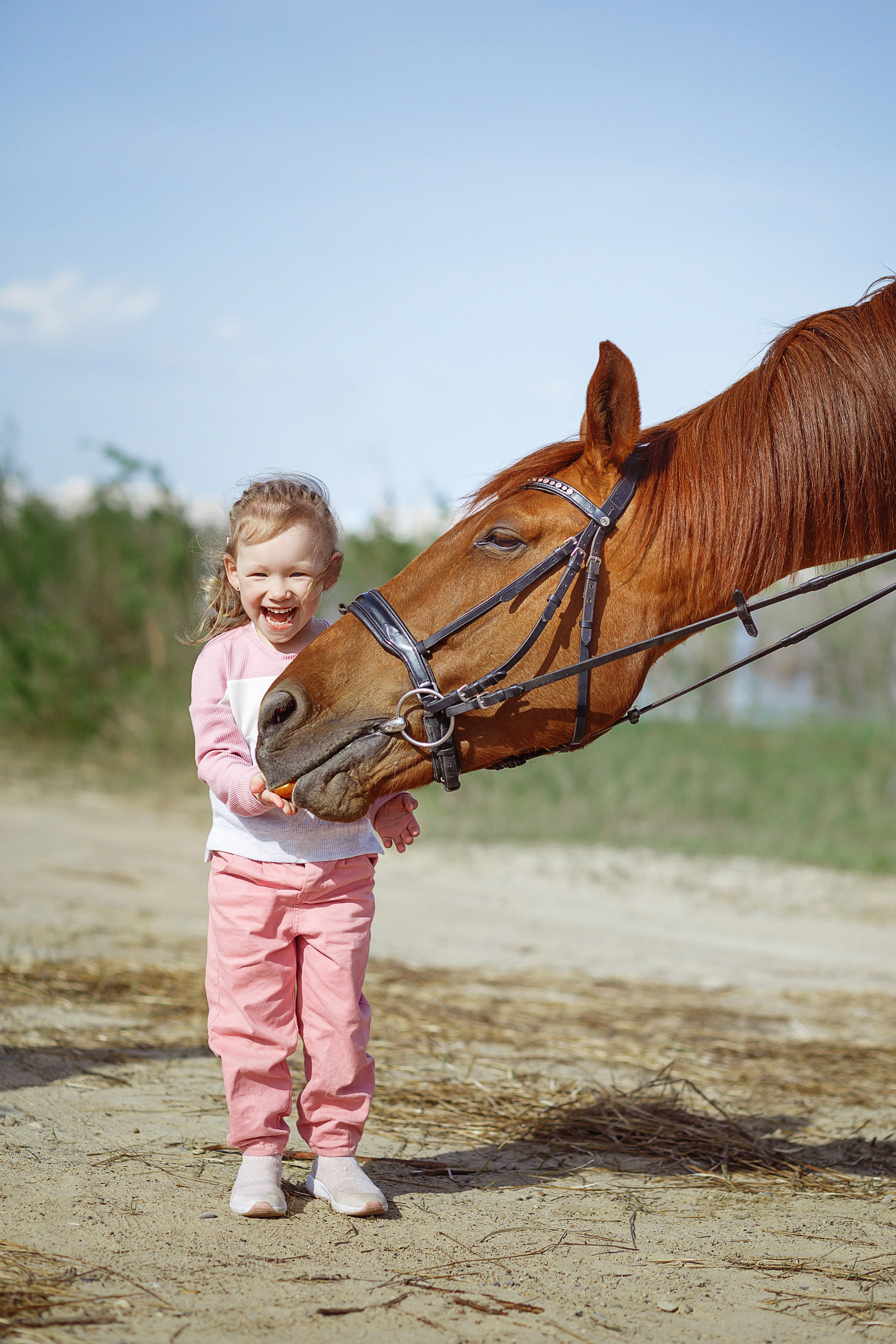 Фотосессии с лошадьми. Фотограф в Комсомольске-на-Амуре