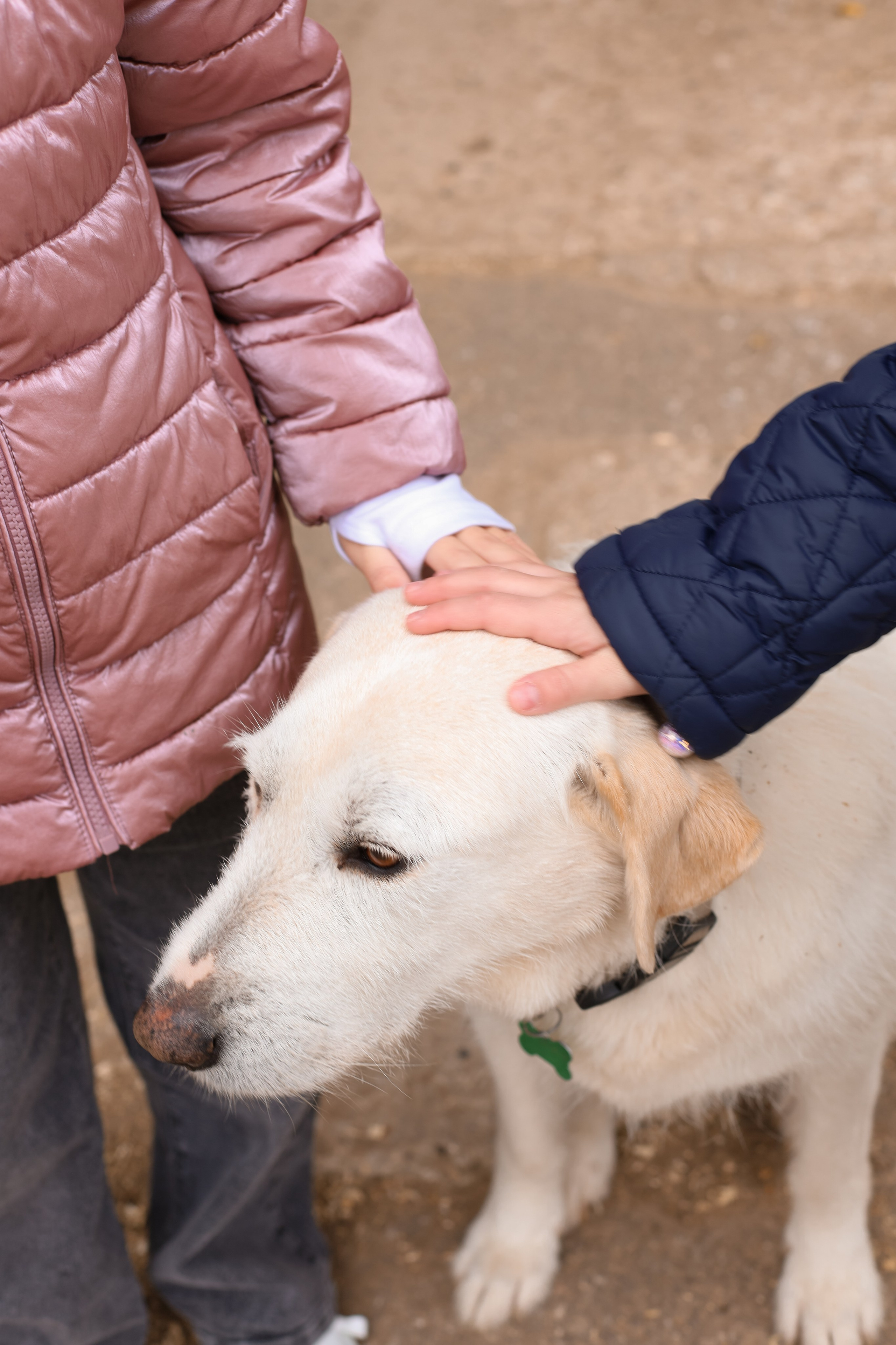 Женский клуб в ФАВОРИТ. Фотограф Светлана Бурова