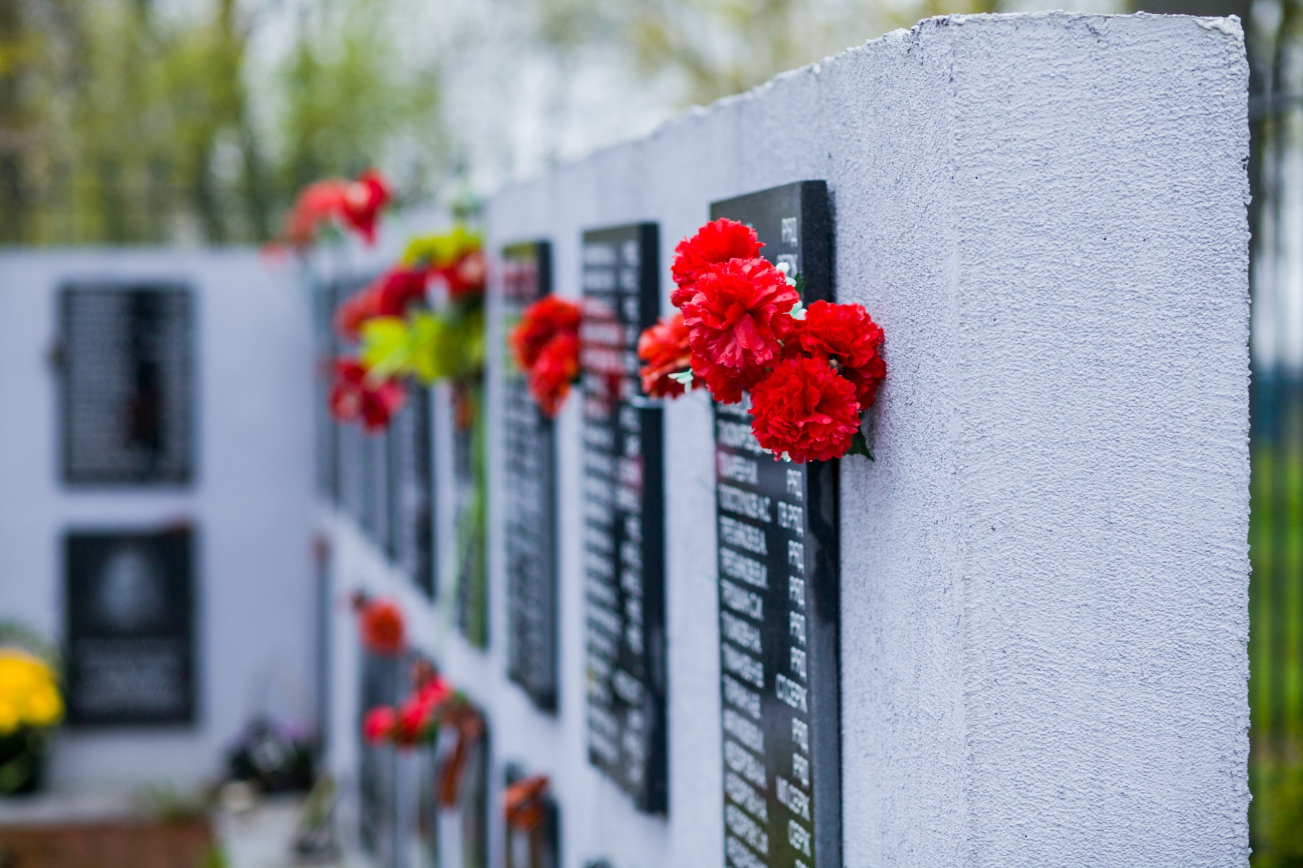 Общий вид захоронения. История Назиевского городского поселения