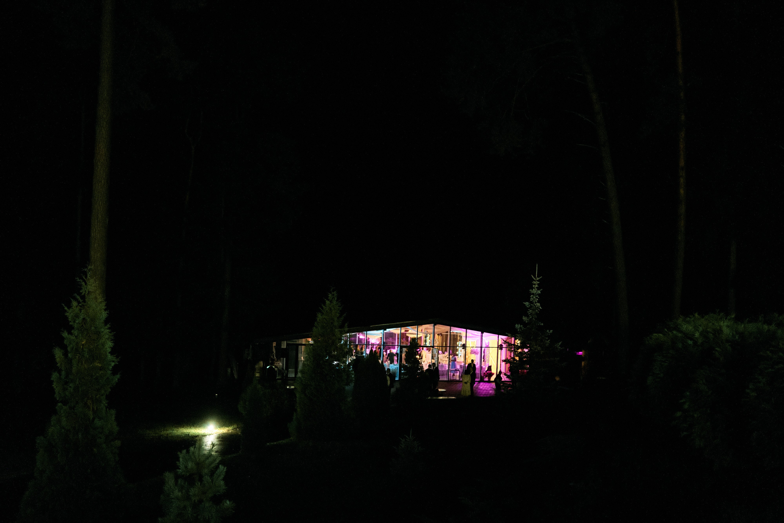 Алина и Илья. Свадебный фотограф Минск РБ