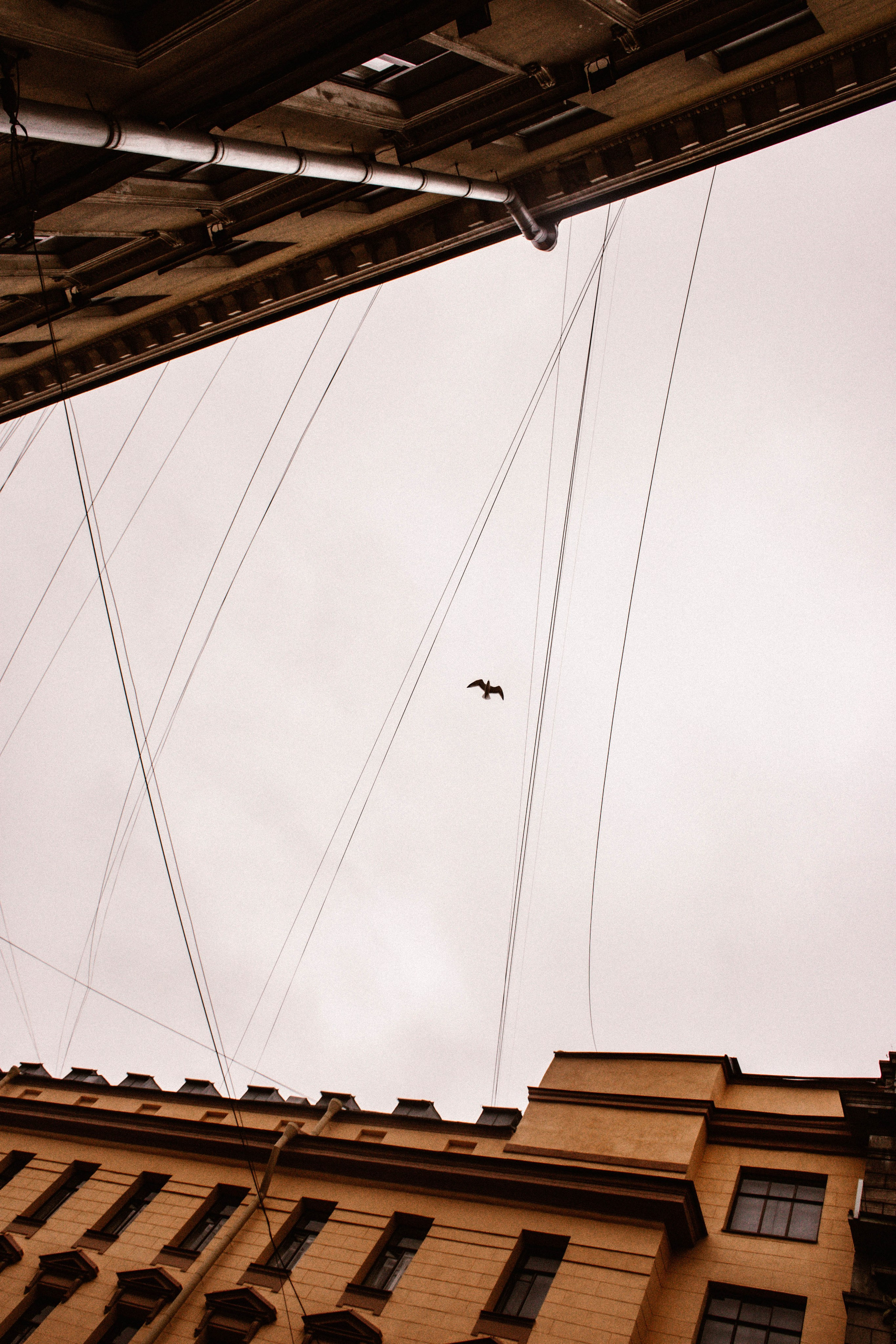 Питер / 24. Фотограф в Нижнем Новгороде