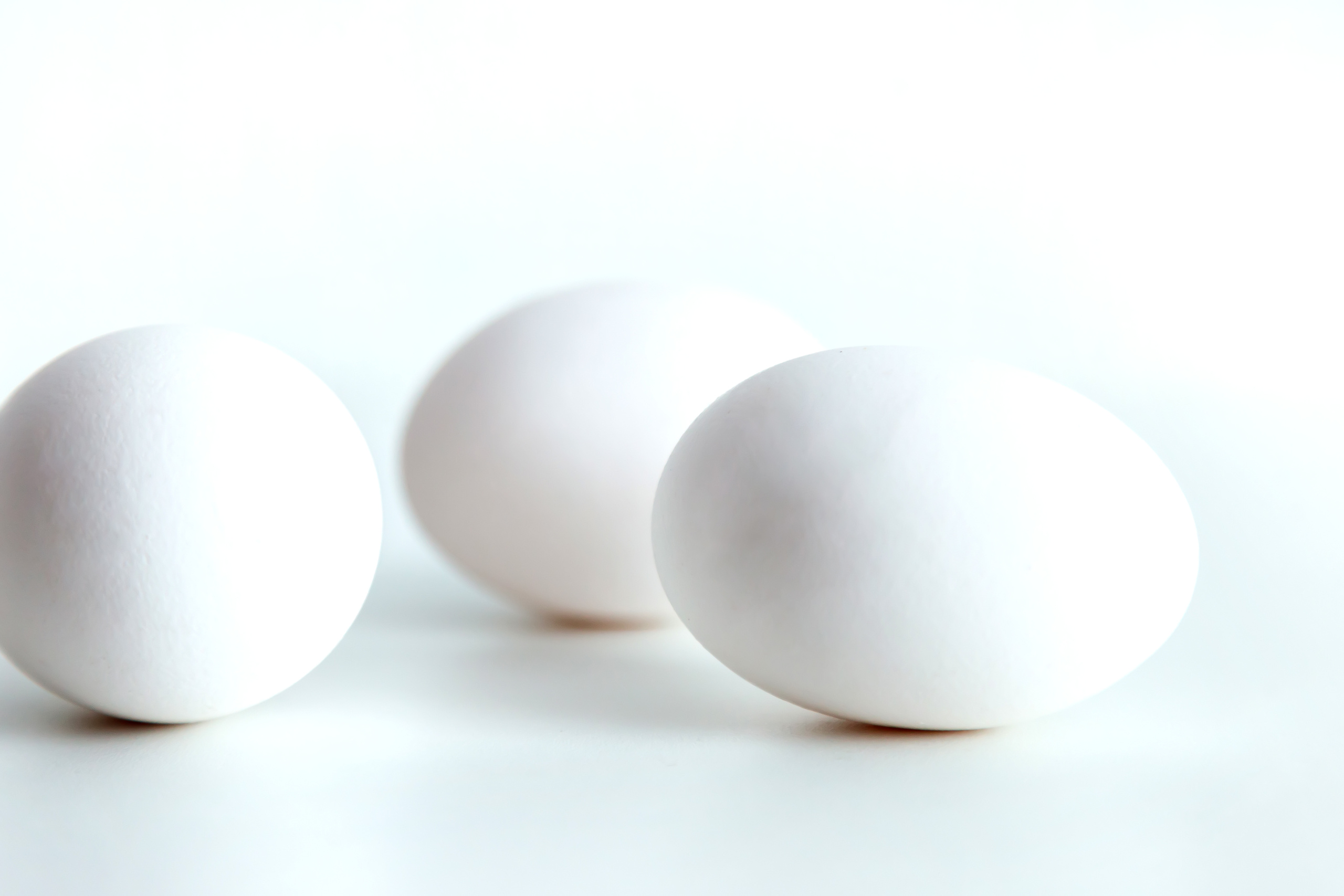 SUBJECT and FOOD PHOTO. AGarte: photo and video shooting in St. Petersburg and Moscow