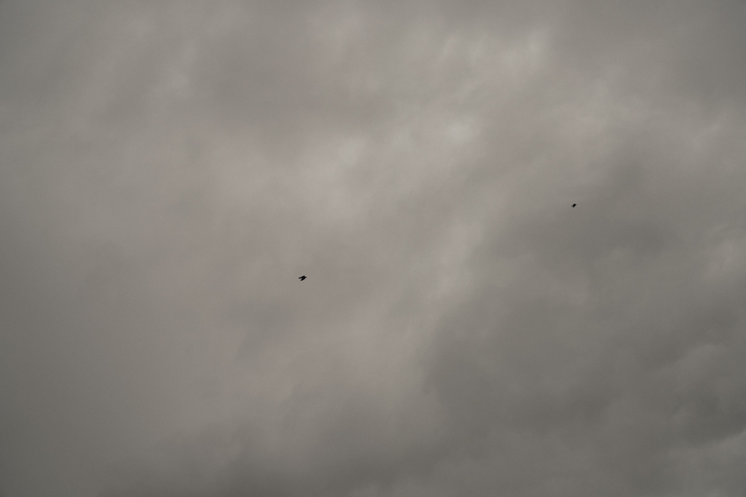 АРИНА И МИХАИЛ. Свадебный и семейный фотограф в Абакане Василевский Алексей