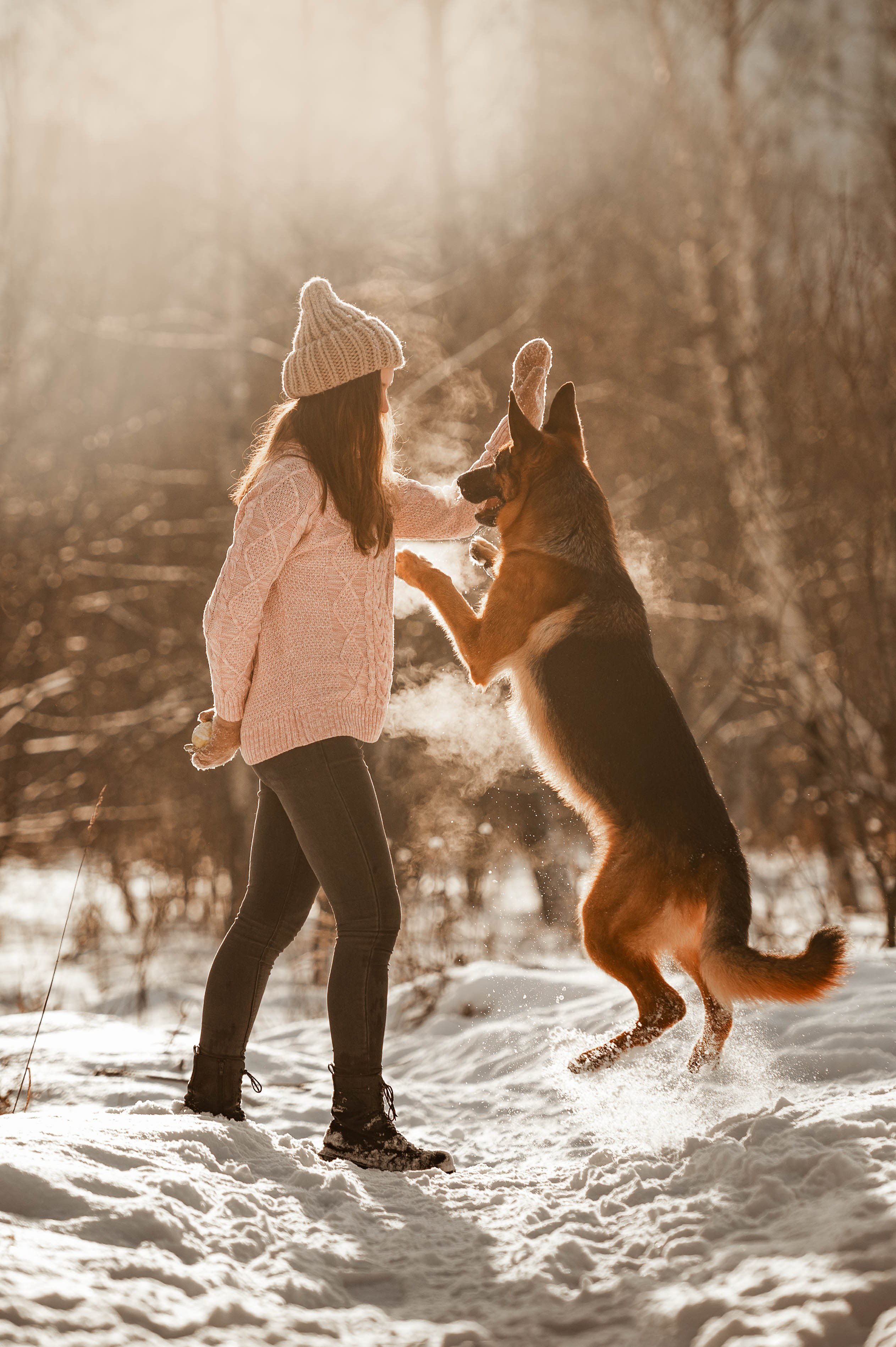 Вольт. Фотограф-анималист