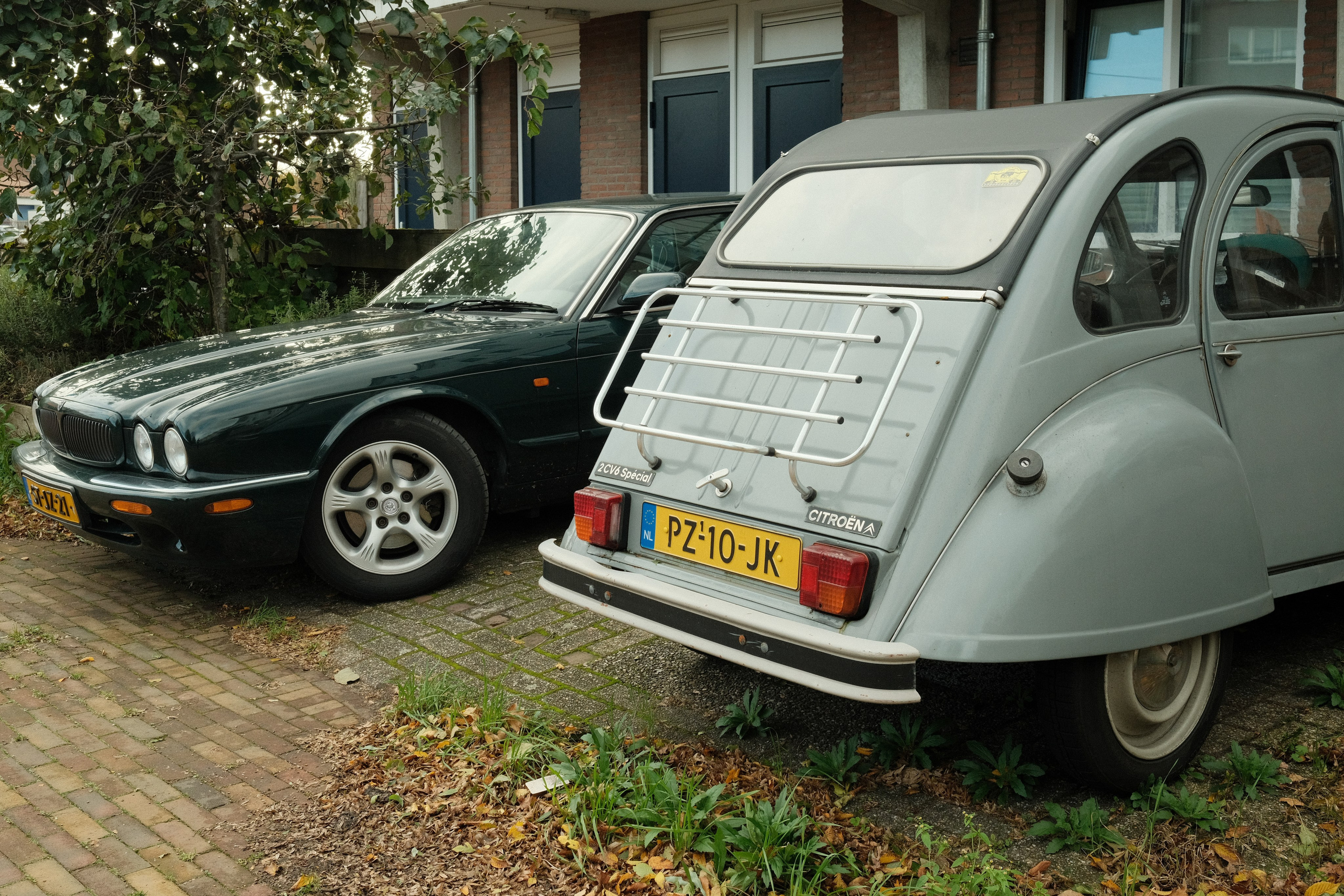 Фотографии Нидерландов | Филипп Линзин. Репортажный и портретный фотограф в Санкт-Петербурге Филипп Линзин