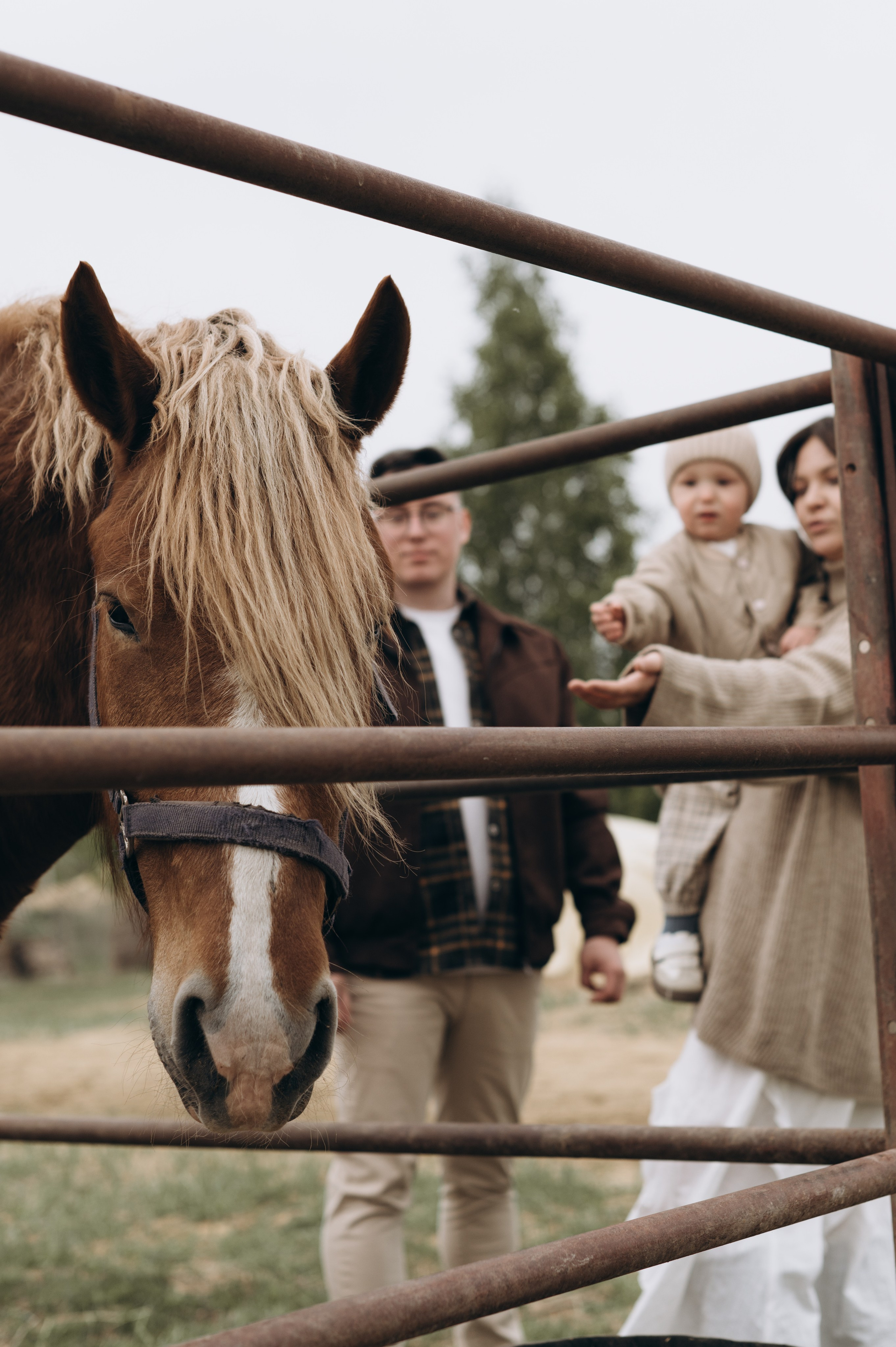 Прогулка с воздушным змеем. Семейный фотограф Воронеж Евгения Богданова