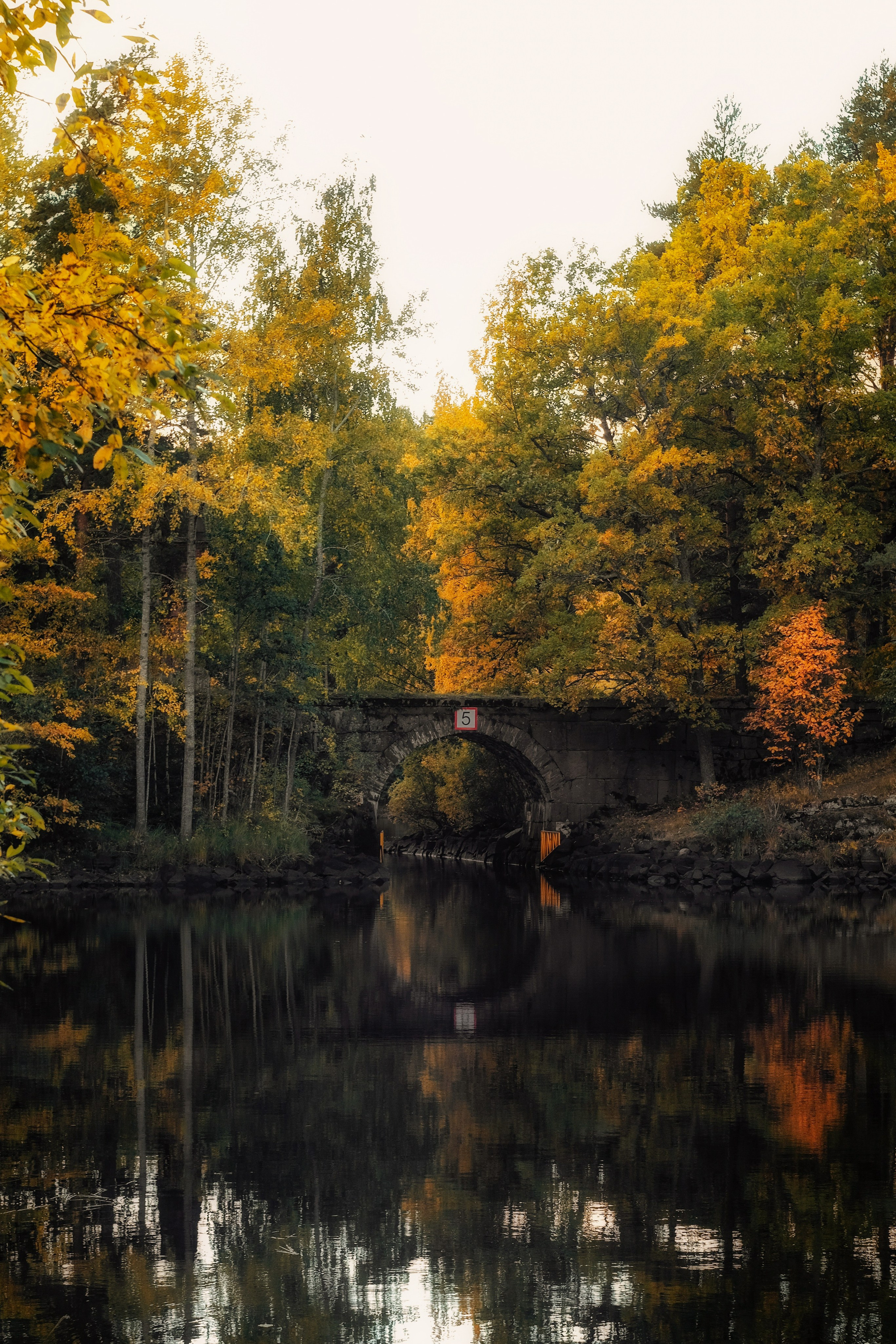 Природа. Трандин Иван Фотограф СПб