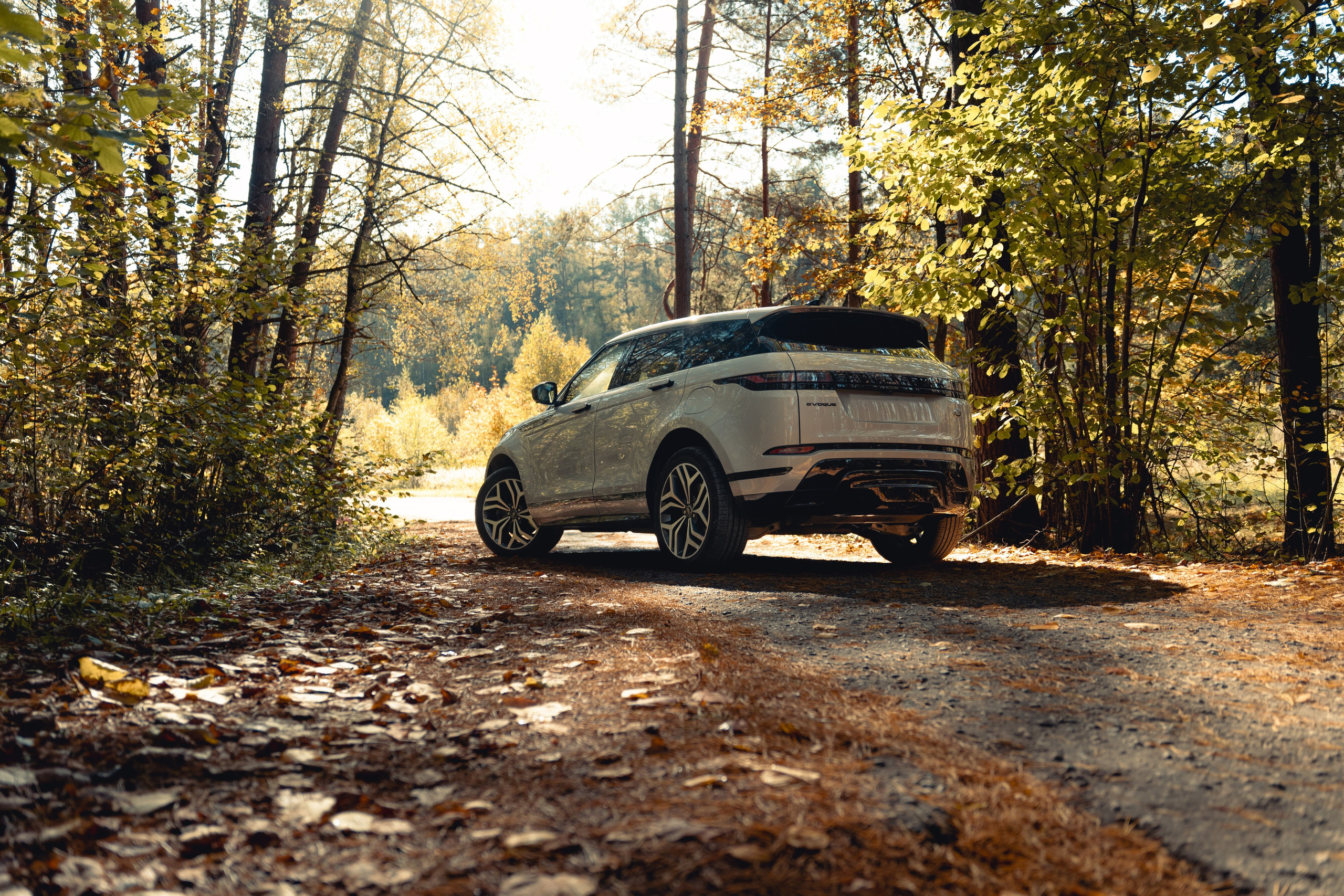 Фотографии Land Rover Range Rover Evoque