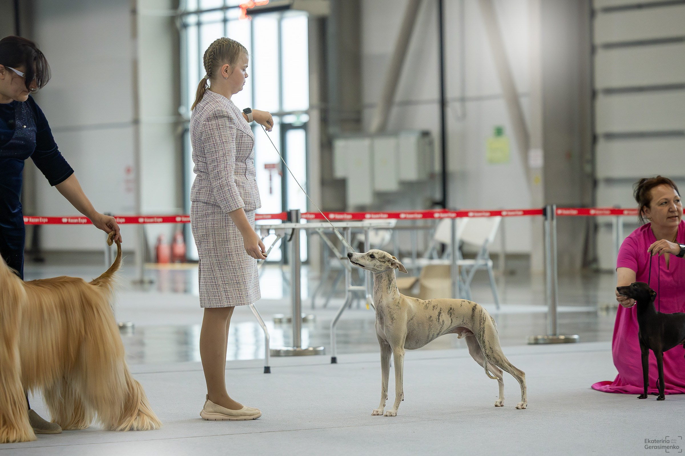 22 июня 2025, Выставка РКФ, г. Казань. Htykk_photo