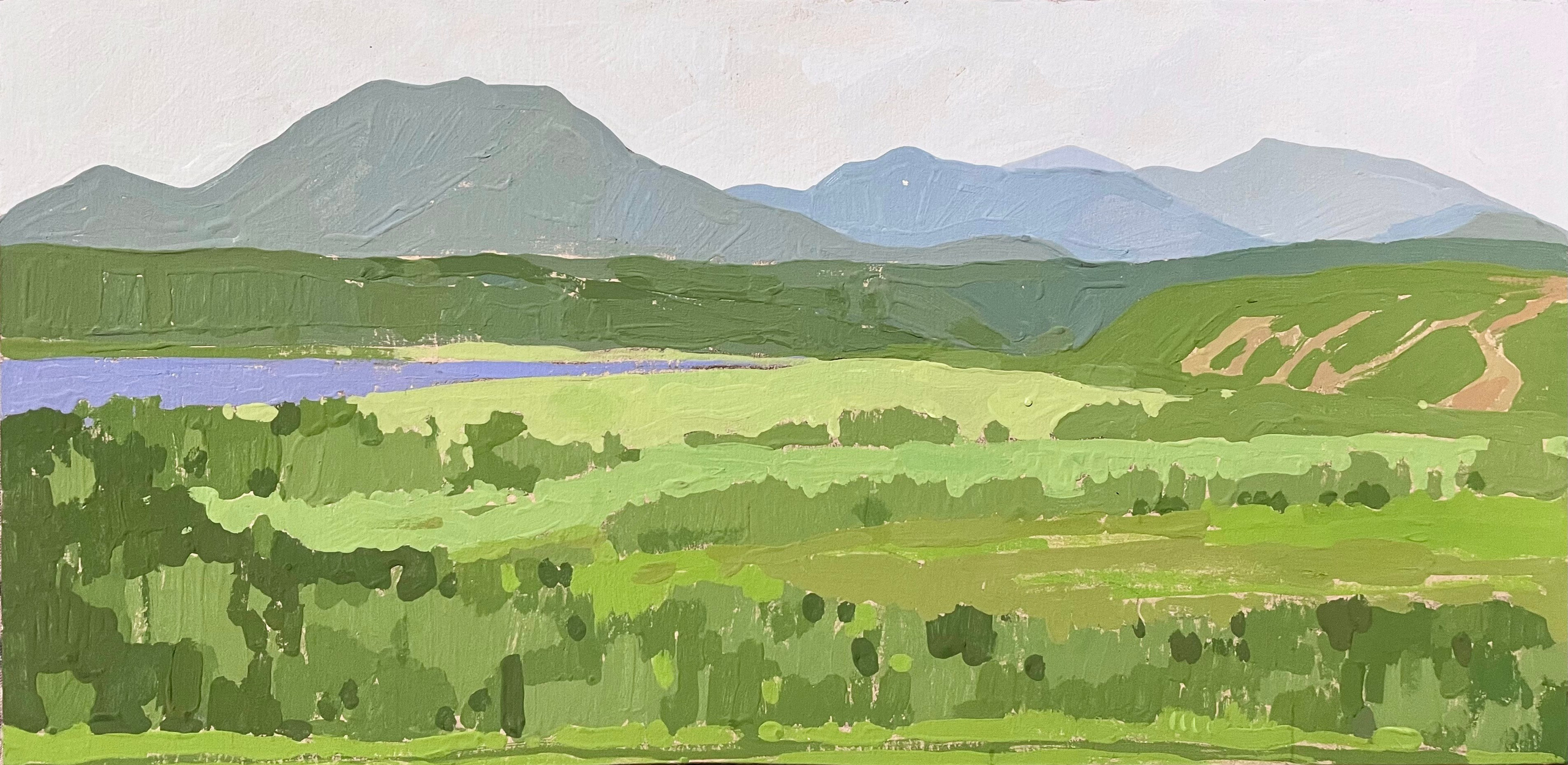 Сахалин. Художница Лиза Владимирова