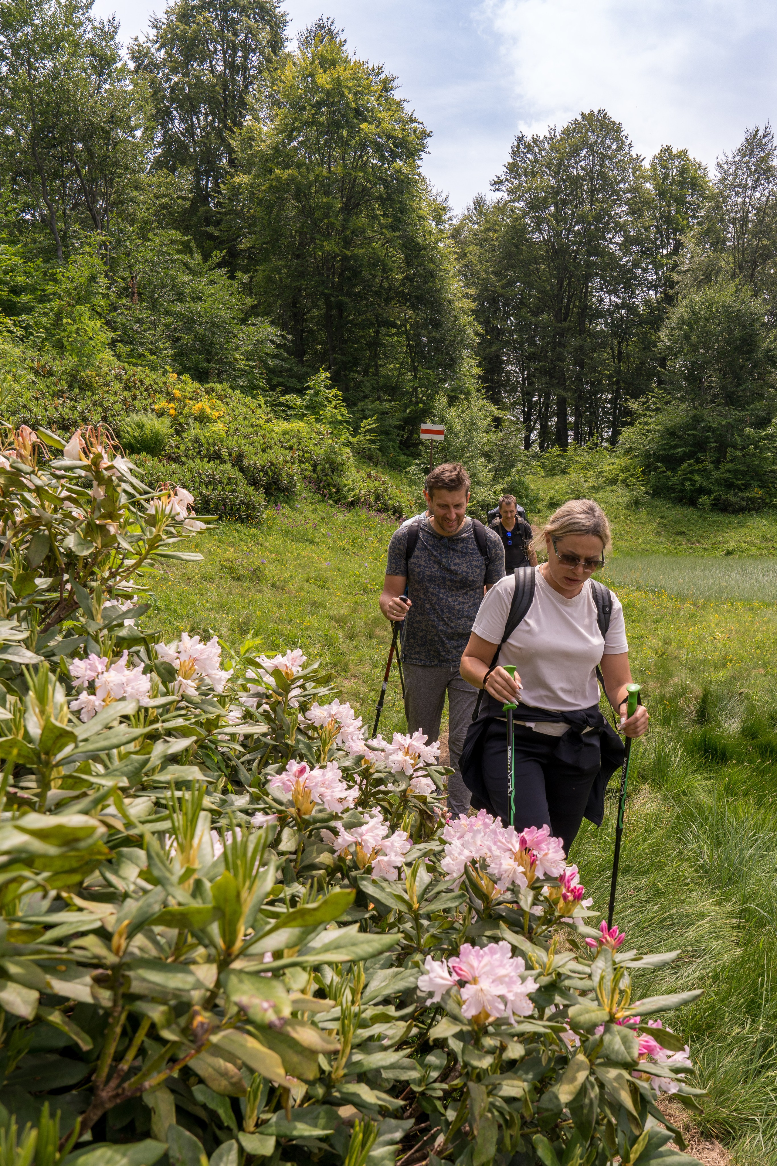 MICE мероприятие для компании «Доставка морем»: хайкинг к Ачипсинским водопадам. Репортажный фотограф в Красной Поляне и Сочи Павлюченко Екатерина