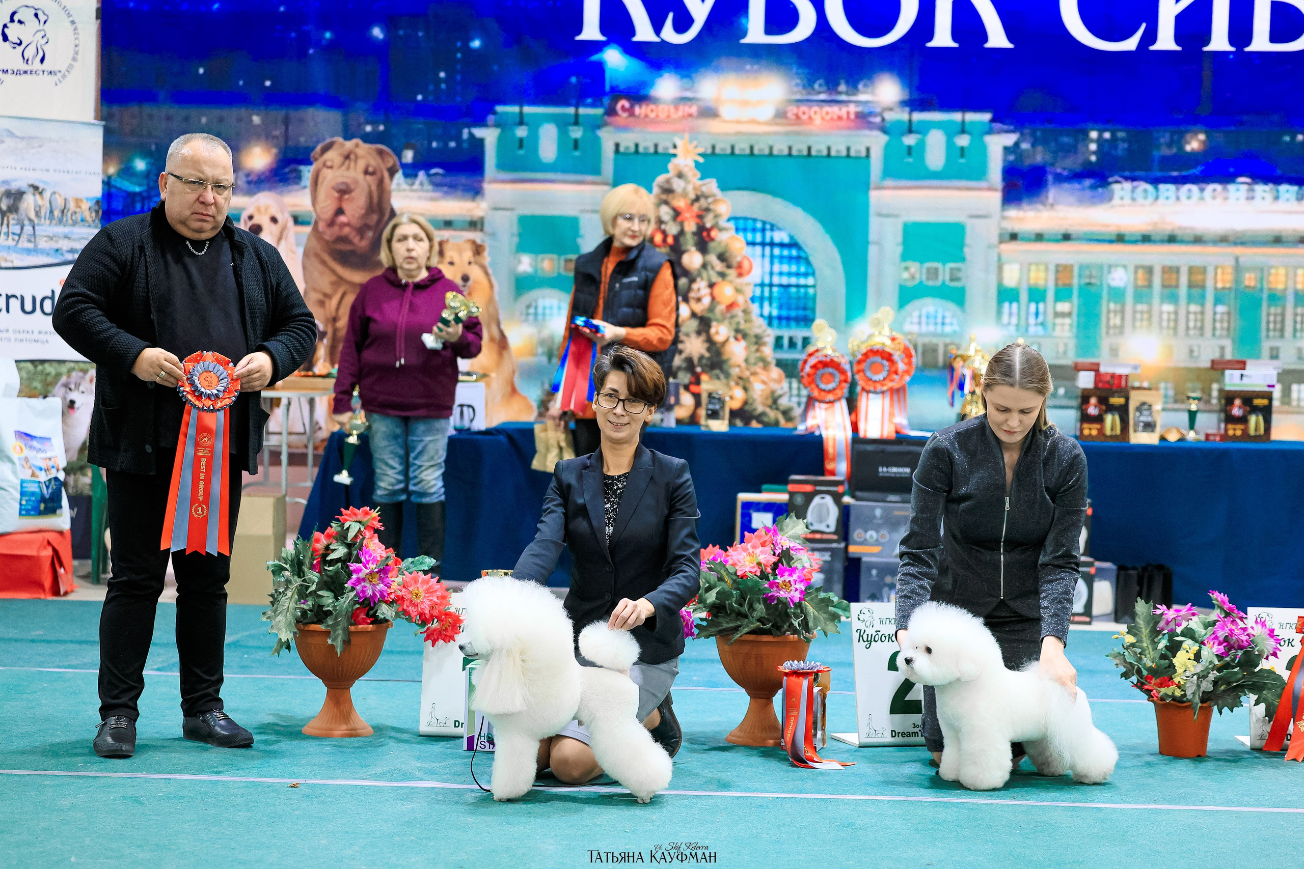 6-7.12.25 — 1-4 Национальные выставки собак в Новосибирске (2х рейтинговые). Фотограф Анималист из Новосибирска Татьяна Кауфман