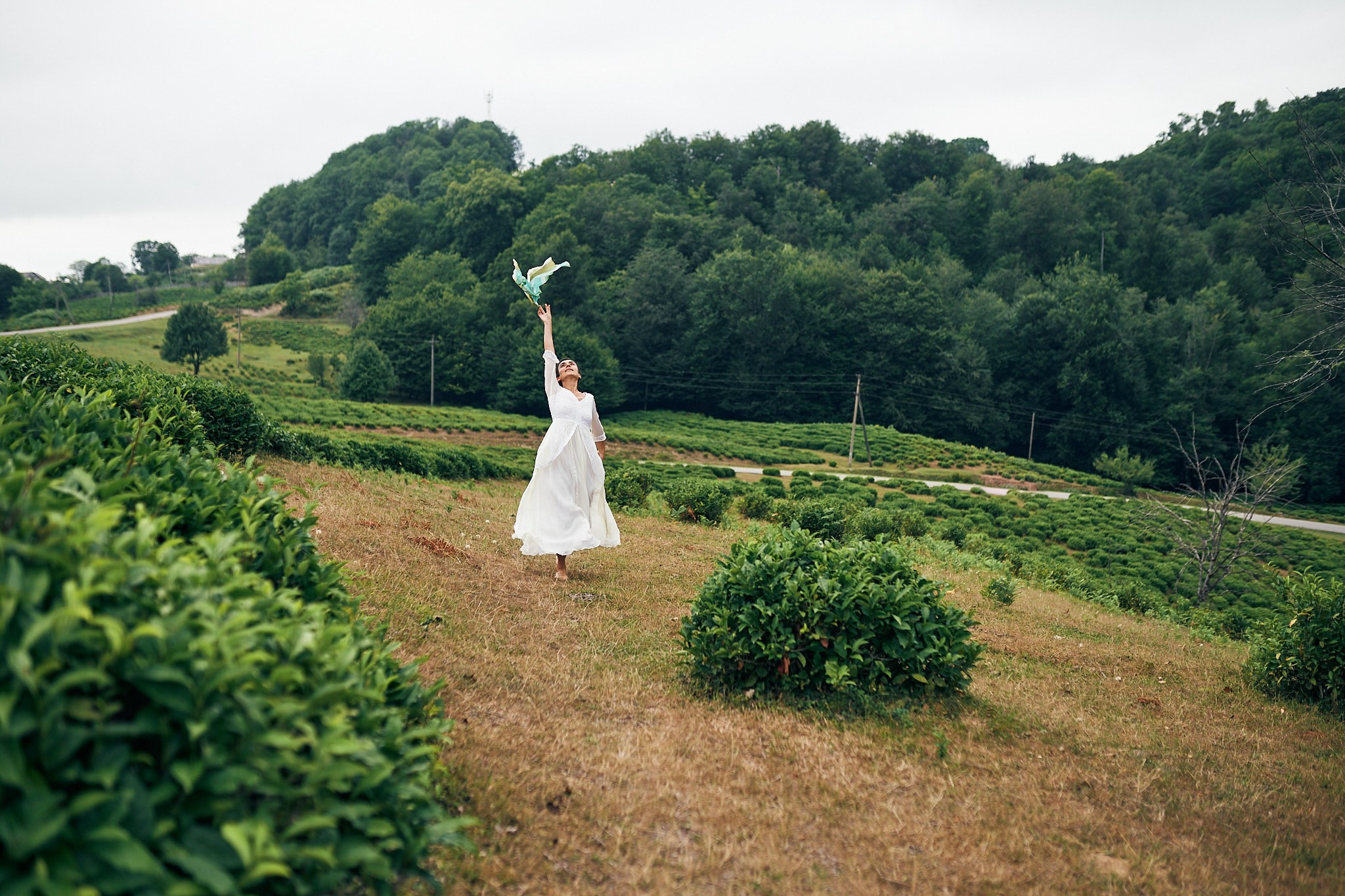 Чайные плантации. Фотограф в Сочи Катя Гончарова