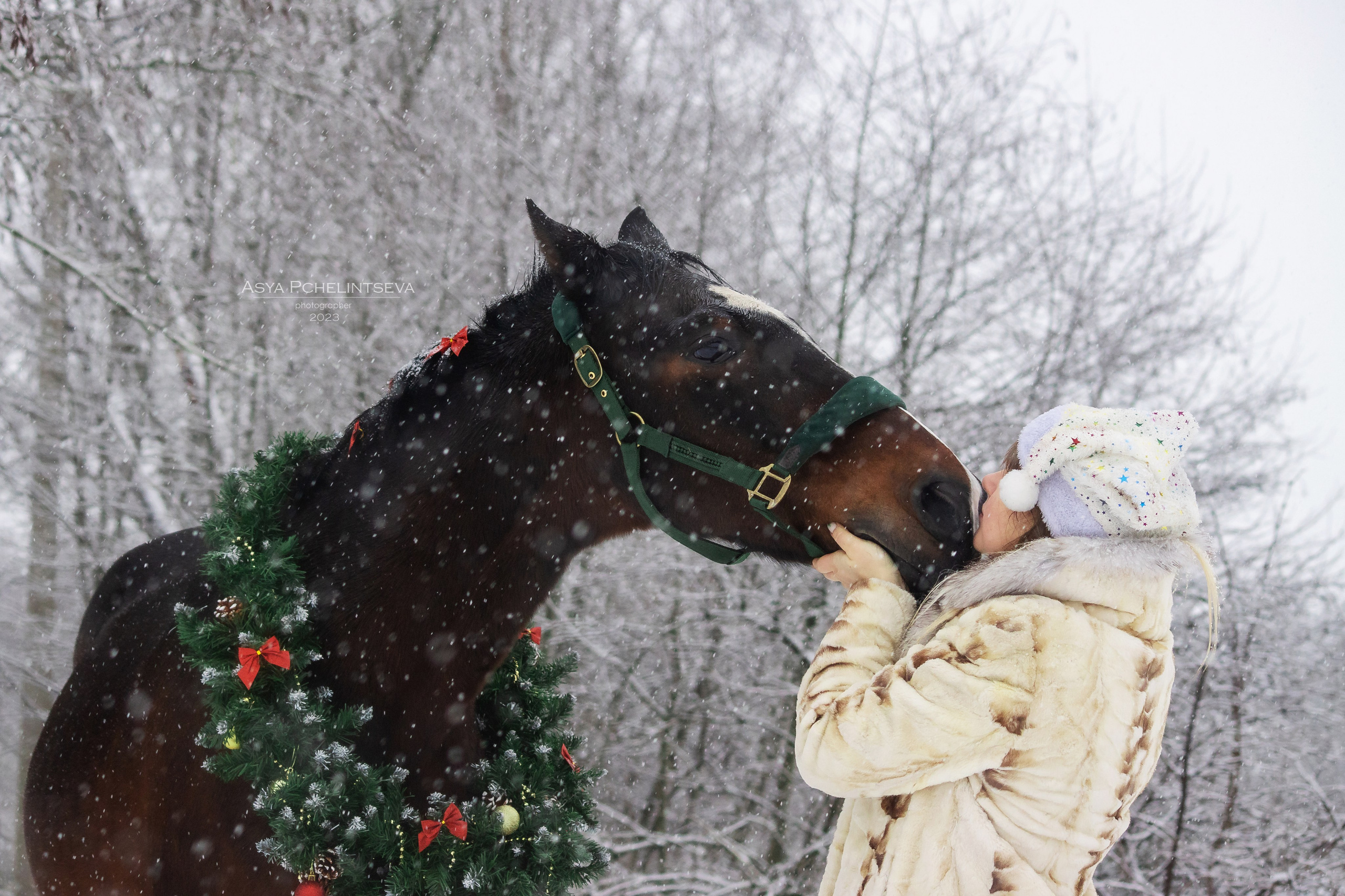 Новогоднее. Ася Пчелинцева, фотограф в СПб и ЛО