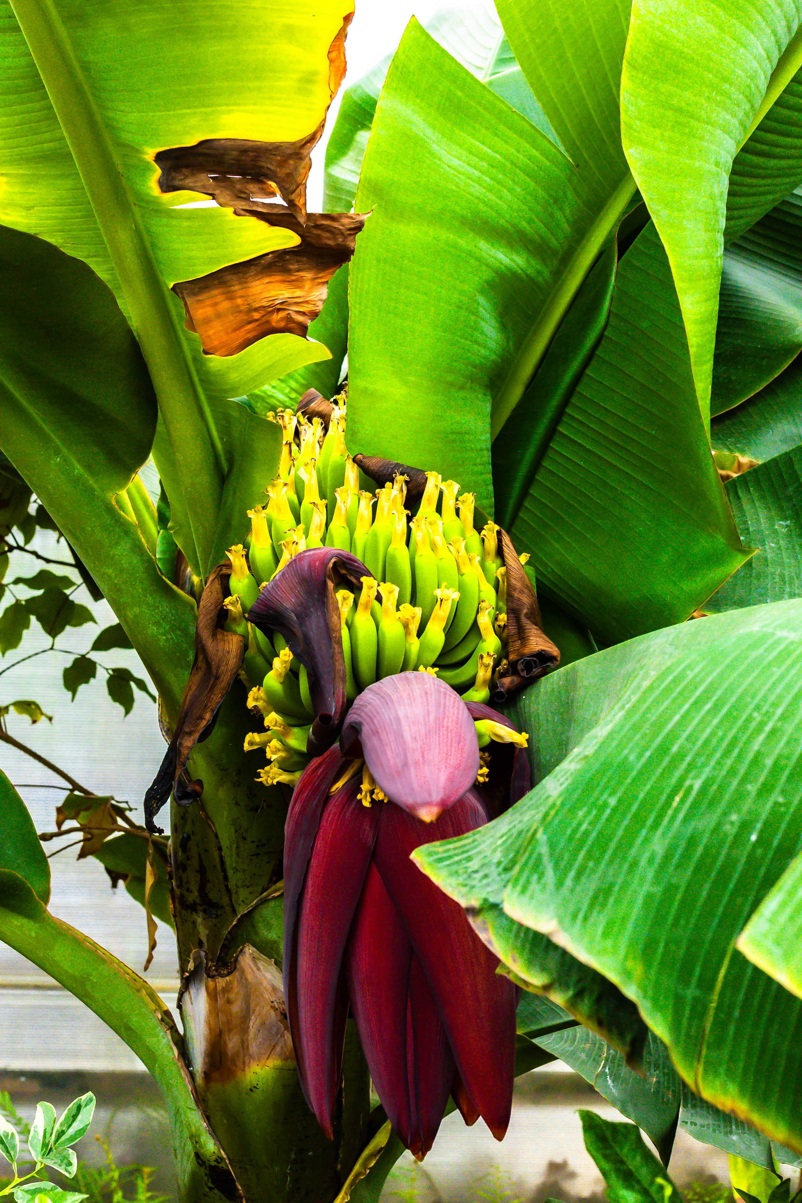 Фотографии природы Липецка. Свадебный и семейный фотограф Виолетта в Липецке
