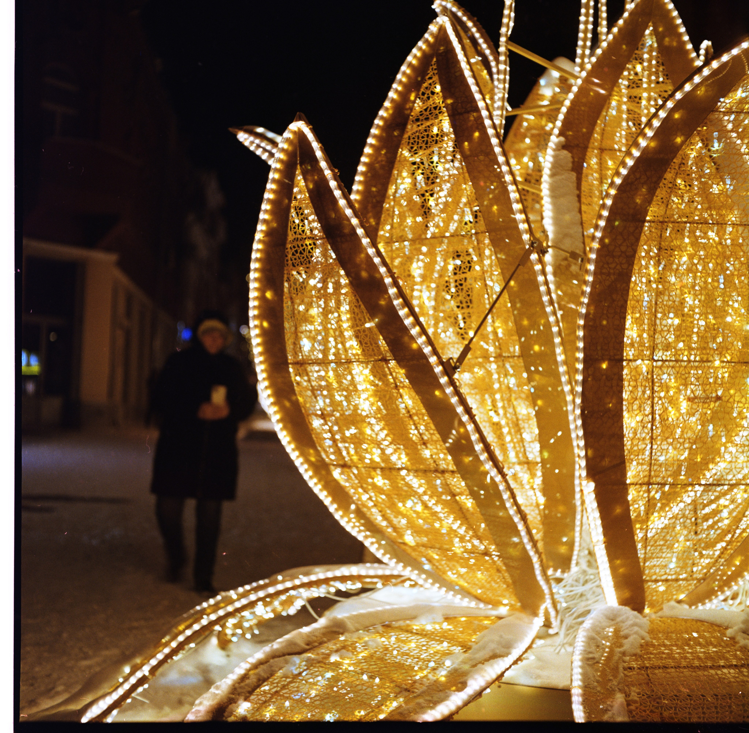 Mamiya C220. Кирилл Ульянов