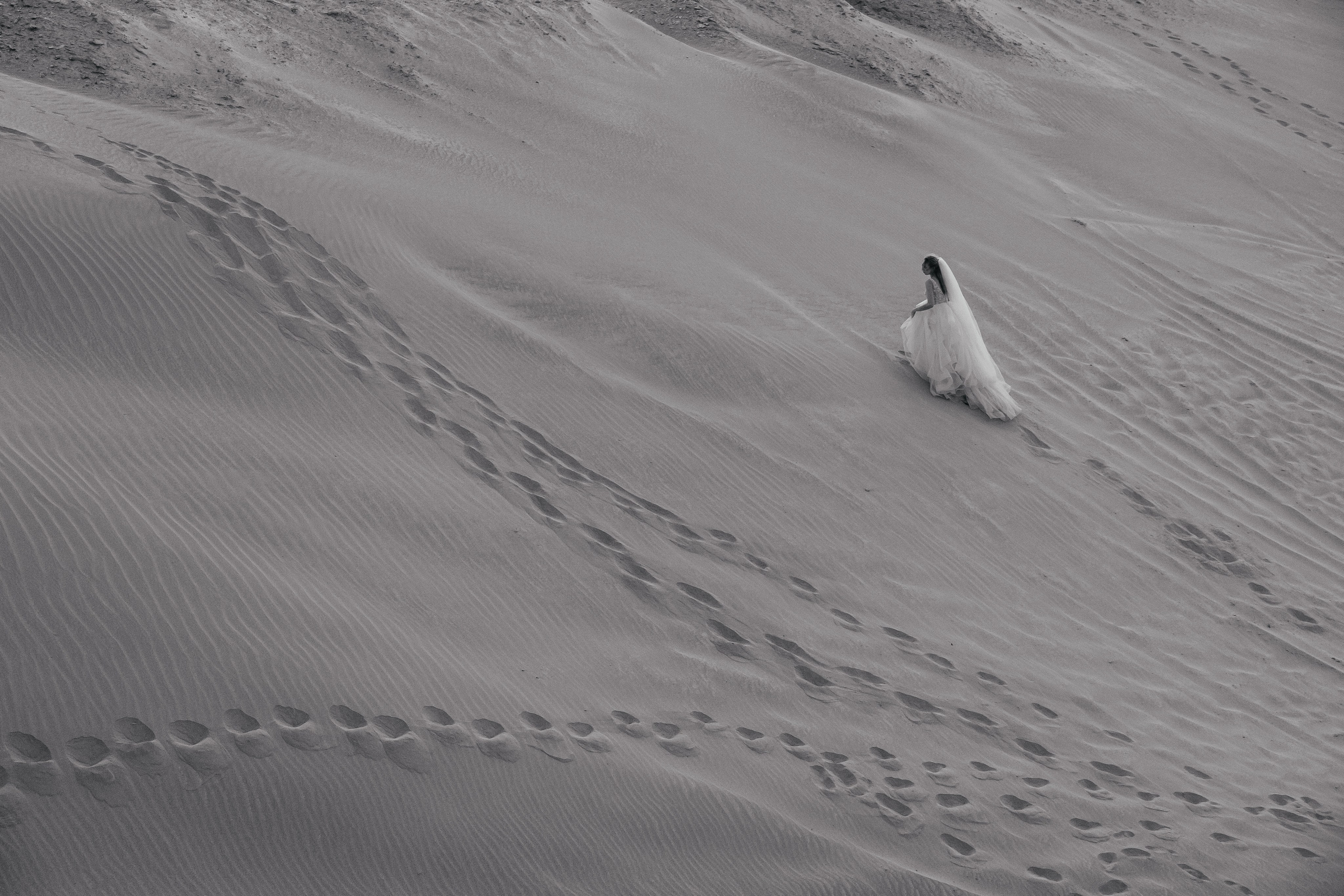 WEDDING. Фотограф Максим Мельников