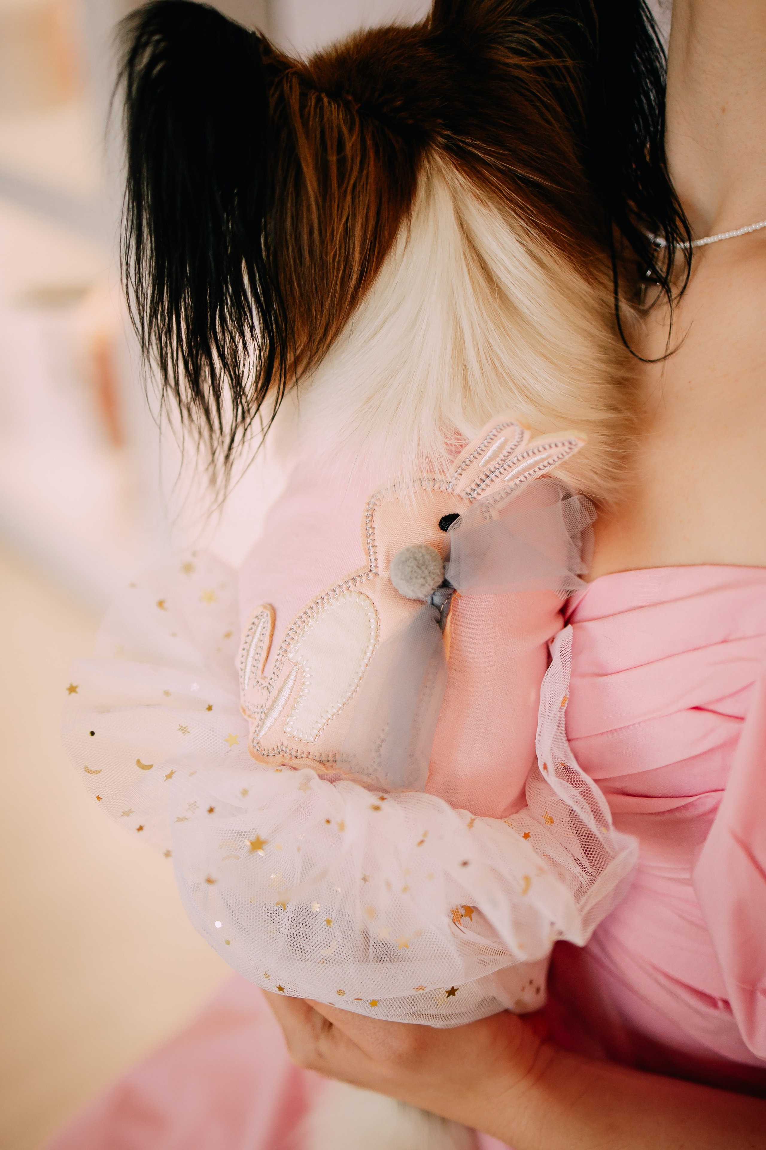 Султан, Мэй Мэй и Шанталь и их семья