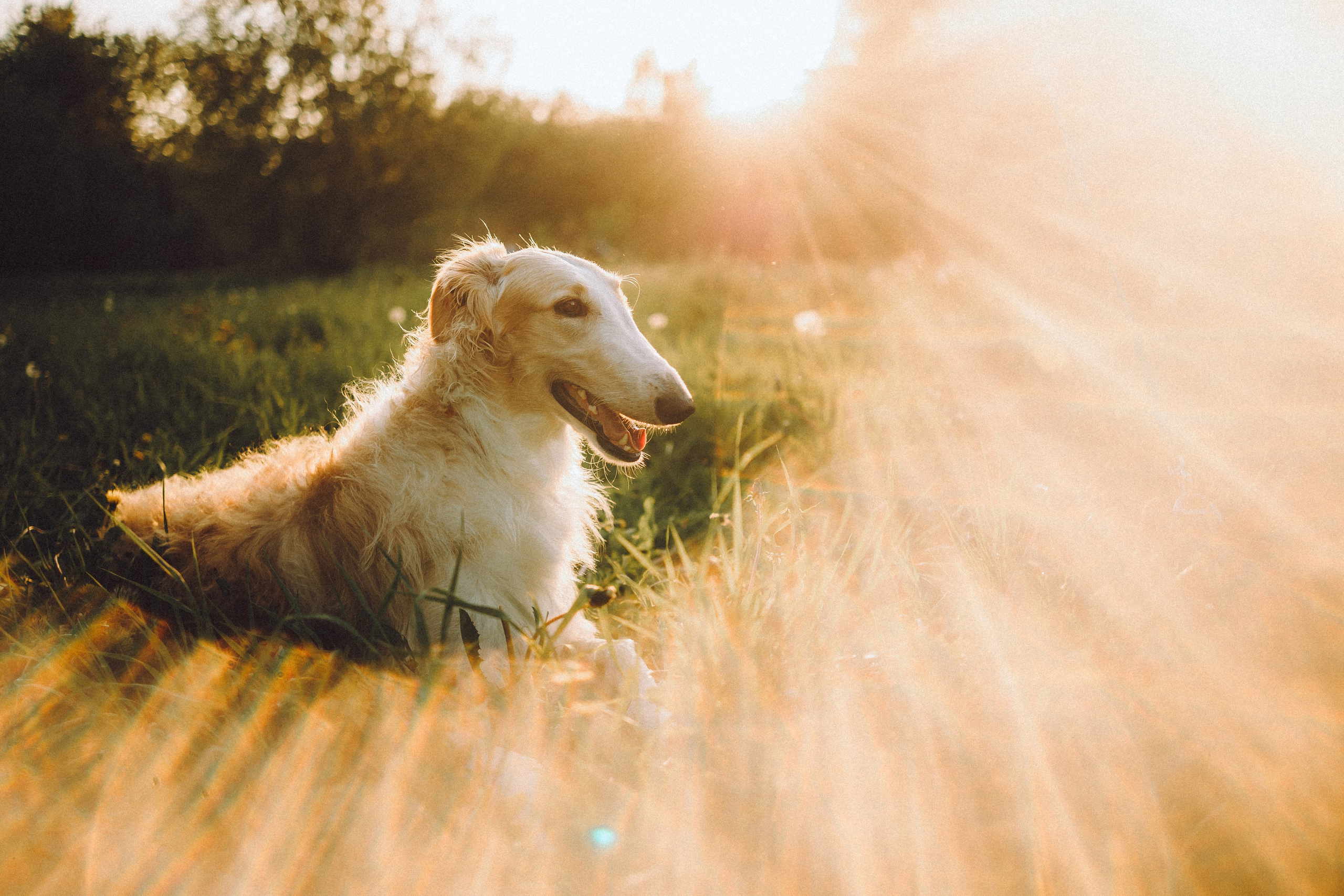 Илай, Зайка и их семья