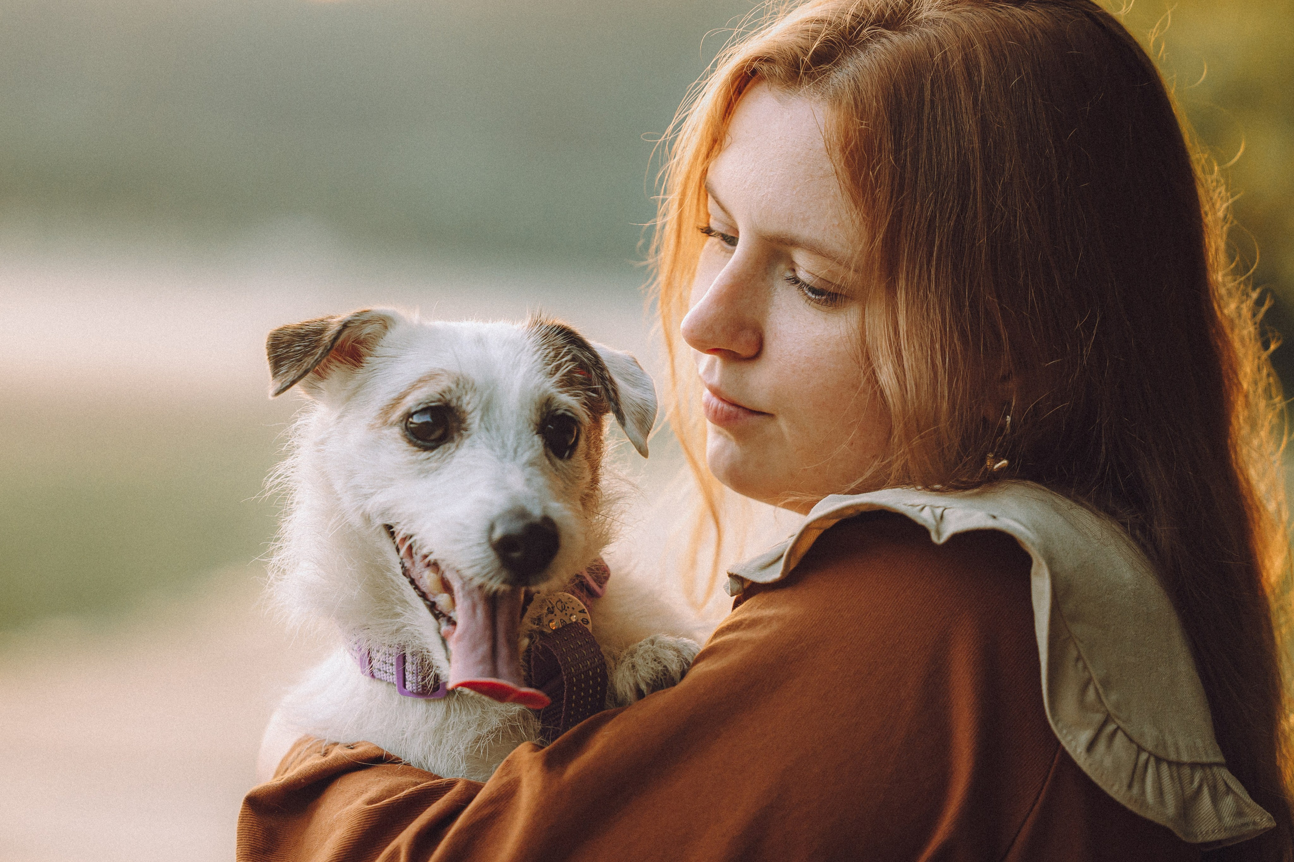 Фифа, Кнопка, Бублик и их семья