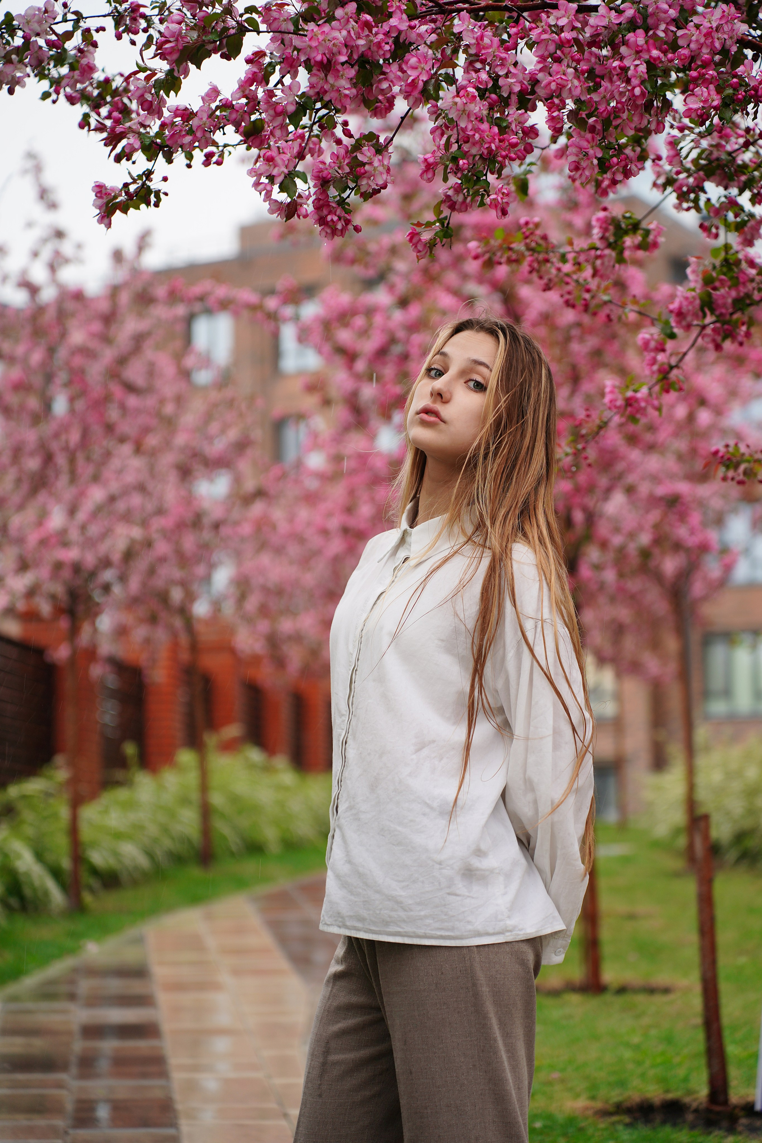 Оля Башкирская Сакура. Pupov.png