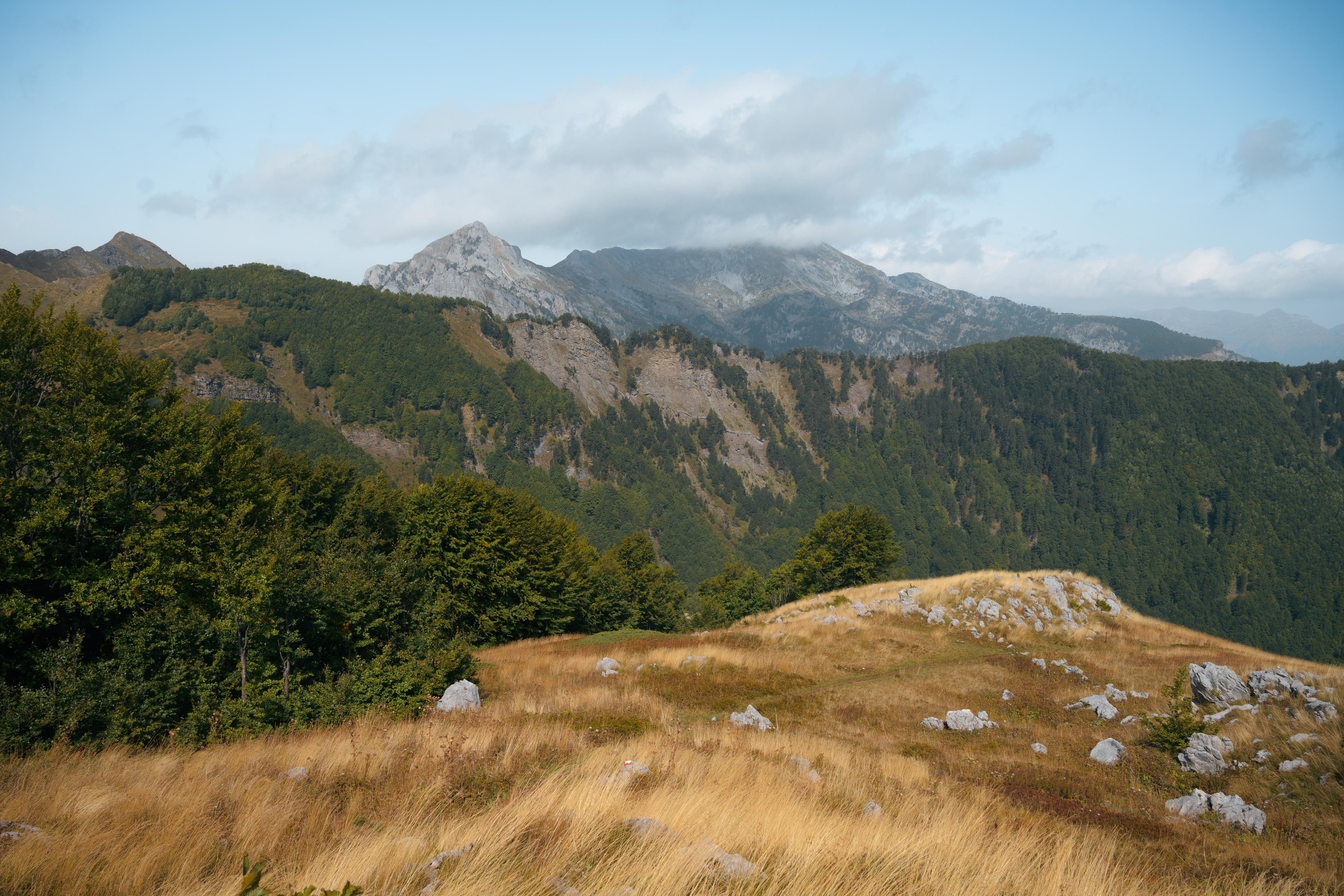 ДОЛИНА ГРЕБАЙЕ. ЧЕРНОГОРИЯ. Фотограф в Белграде Чугреева Елена