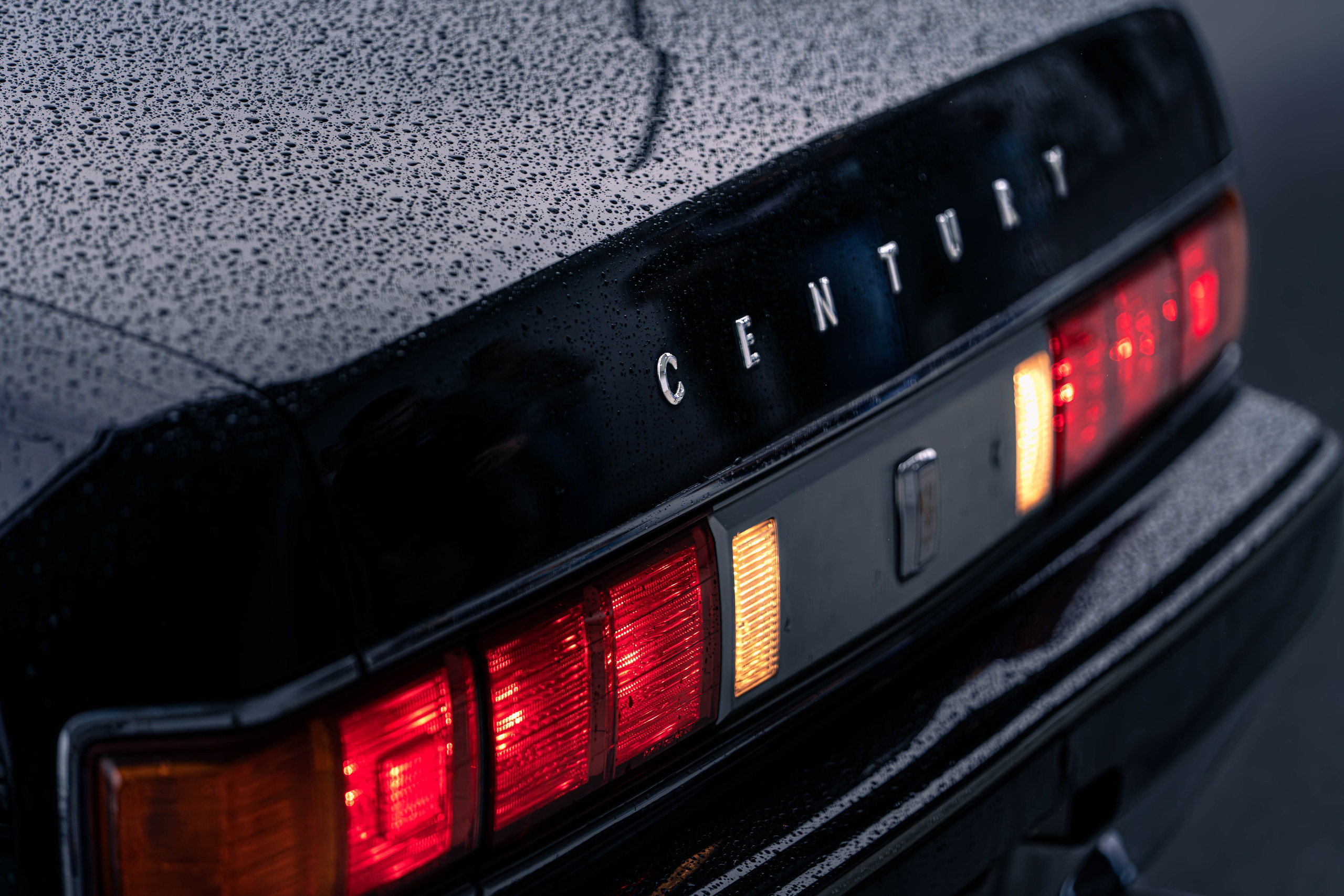 MIDDAY 19.07.2025. Магия фото/кино от Tony.REC